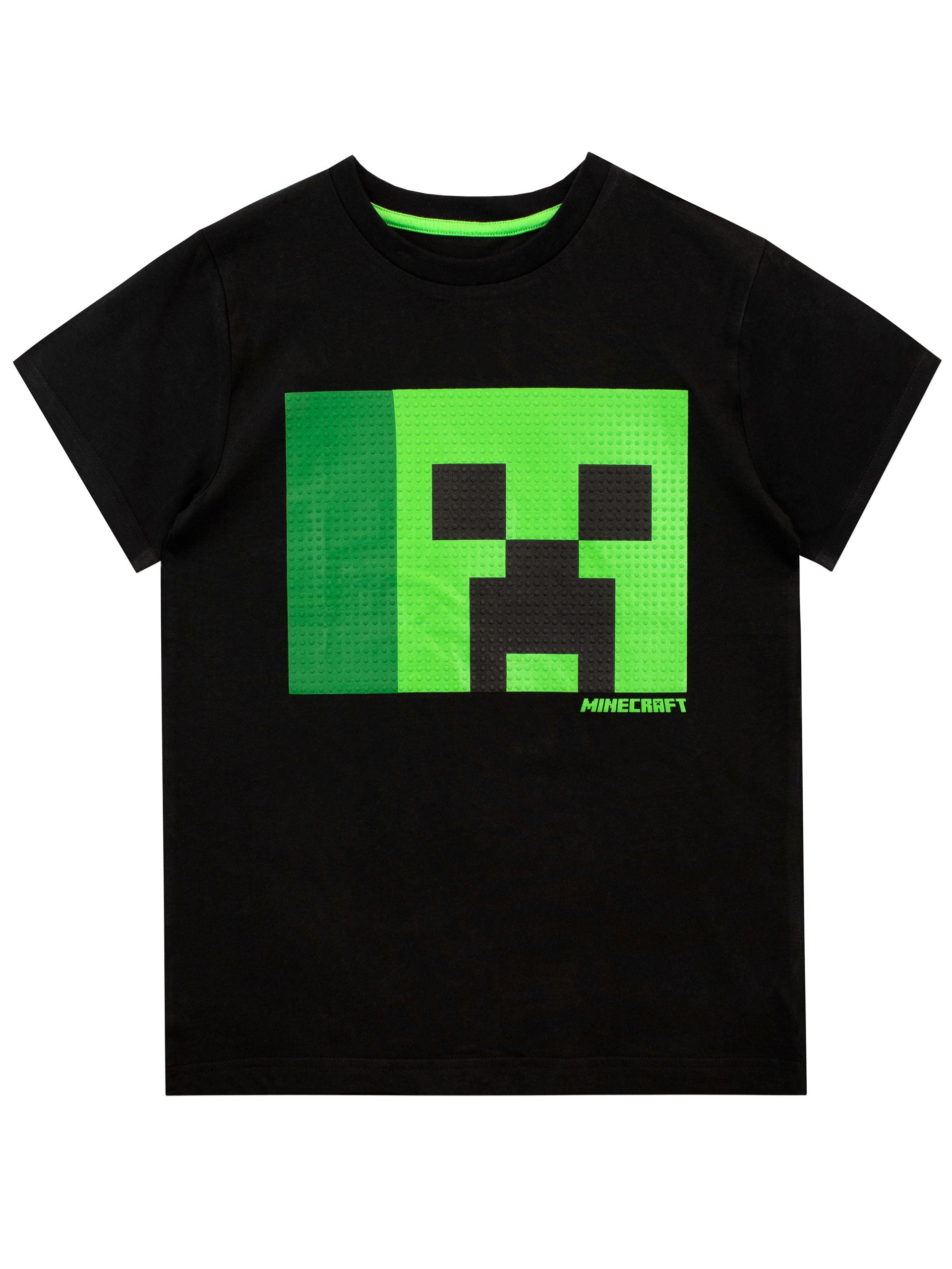 It's a Minecraft World! - Character.com