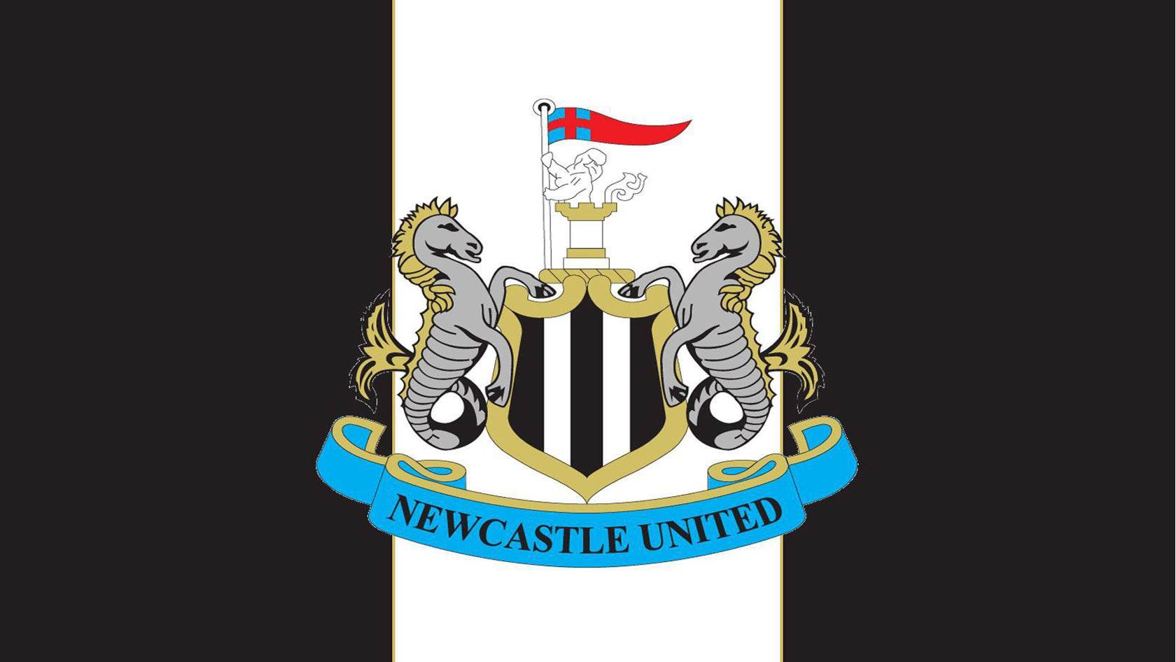 Official Newcastle F.C Pyjamas | Kids Clothing – Character.com