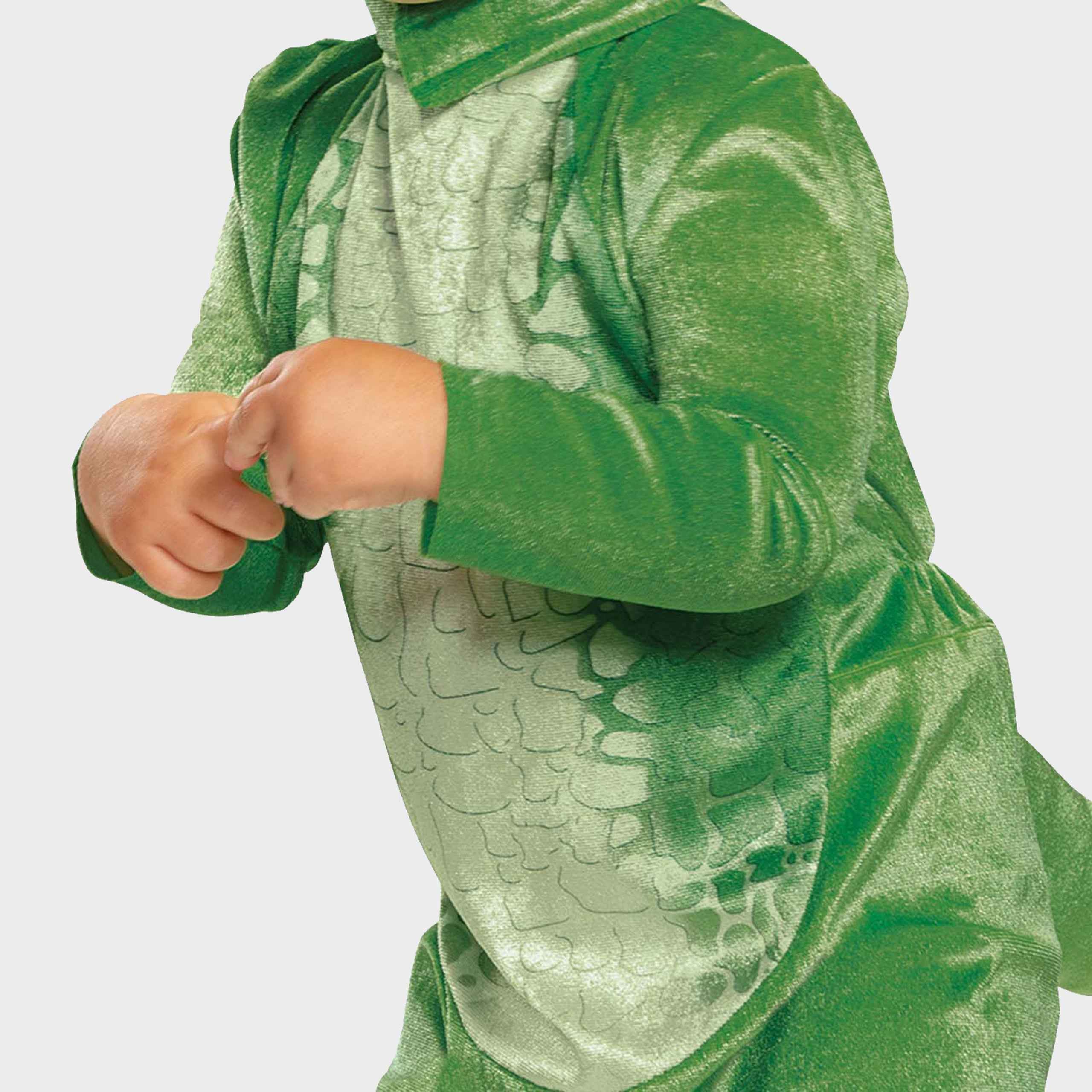 Toy Story Rex Fancy Dress