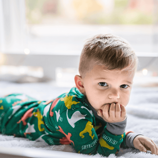 Harry Bear Jurassic Dinosaur Pyjamas - Snuggle Fit - Character.com