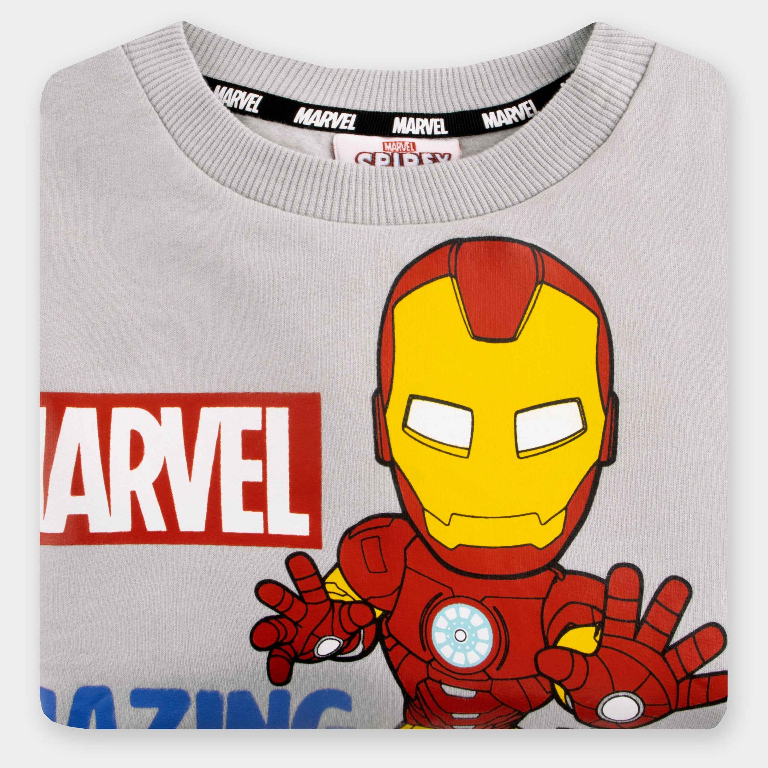 Spidey and His Amazing Friends Sweatshirt