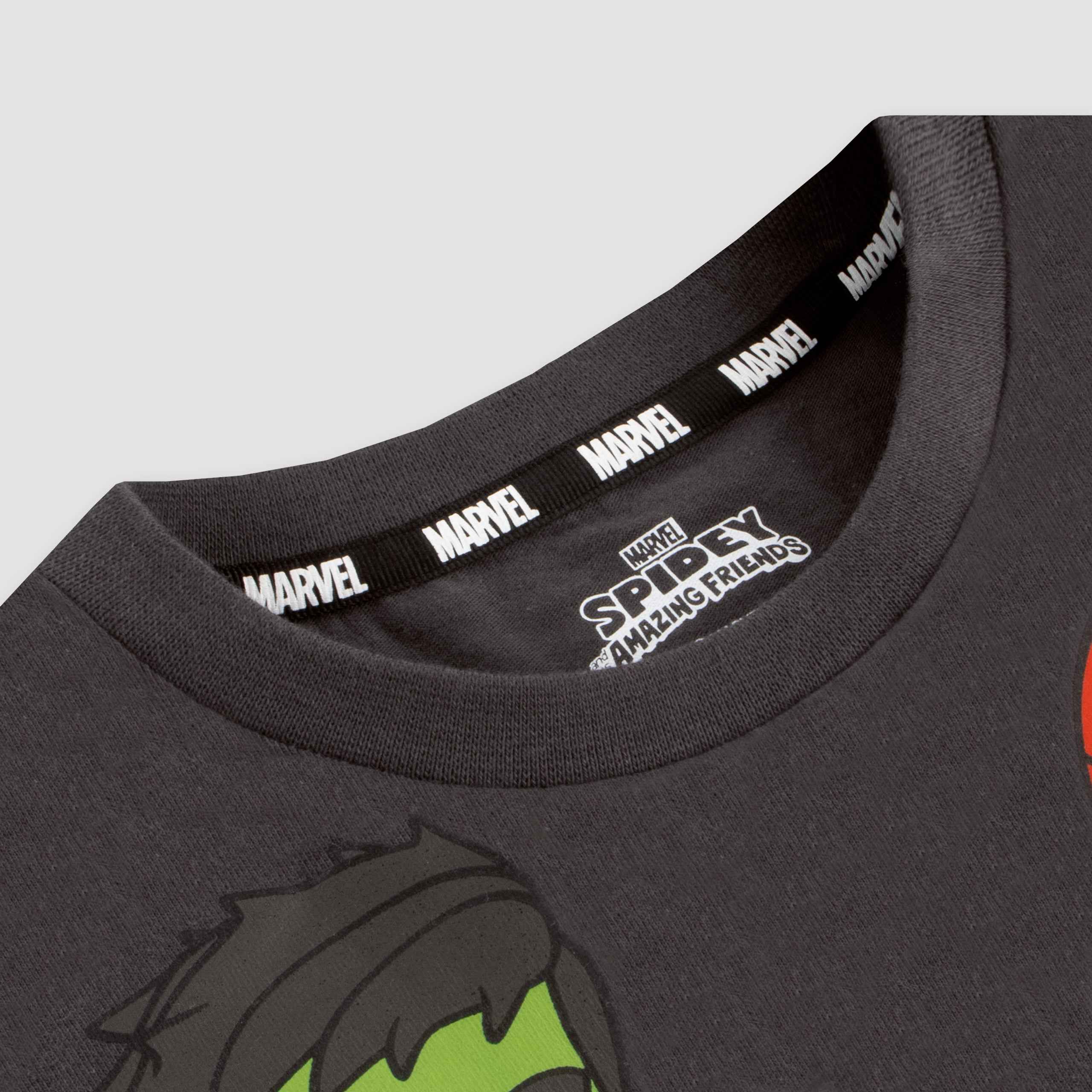 Marvel Spidey And His Amazing Friends T-Shirt