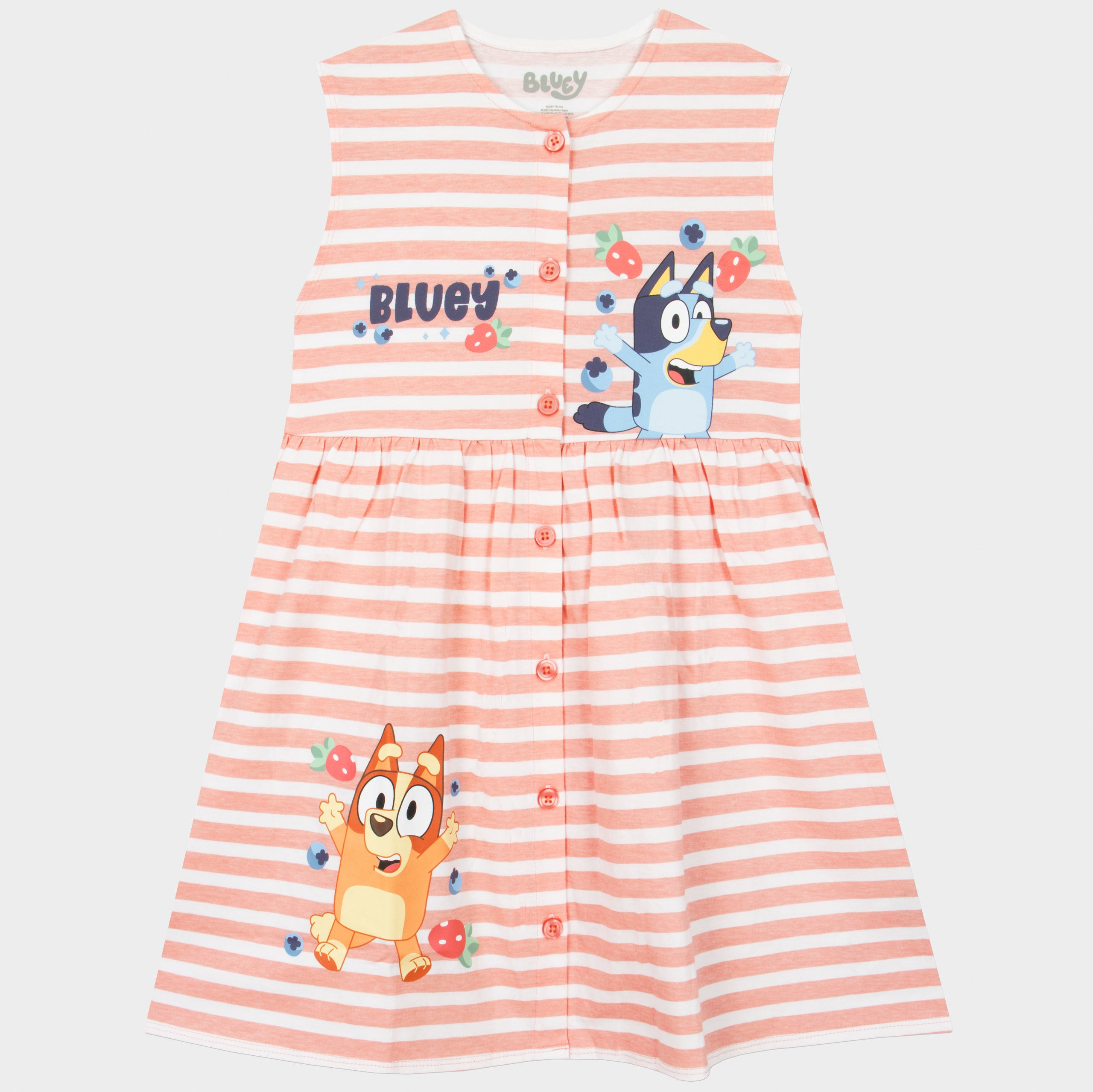 Bluey Stripe Button Down Dress