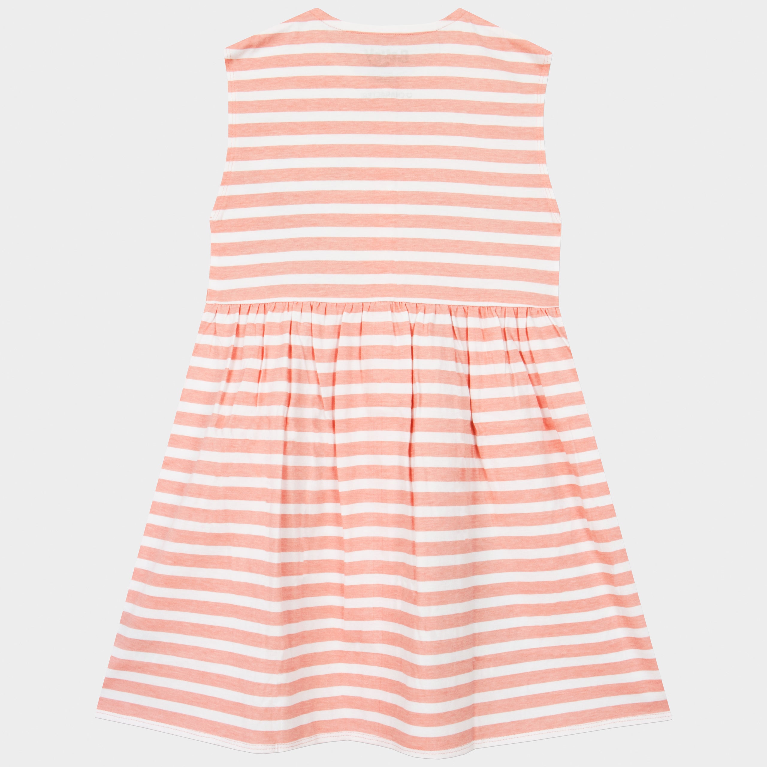 Bluey Stripe Button Down Dress