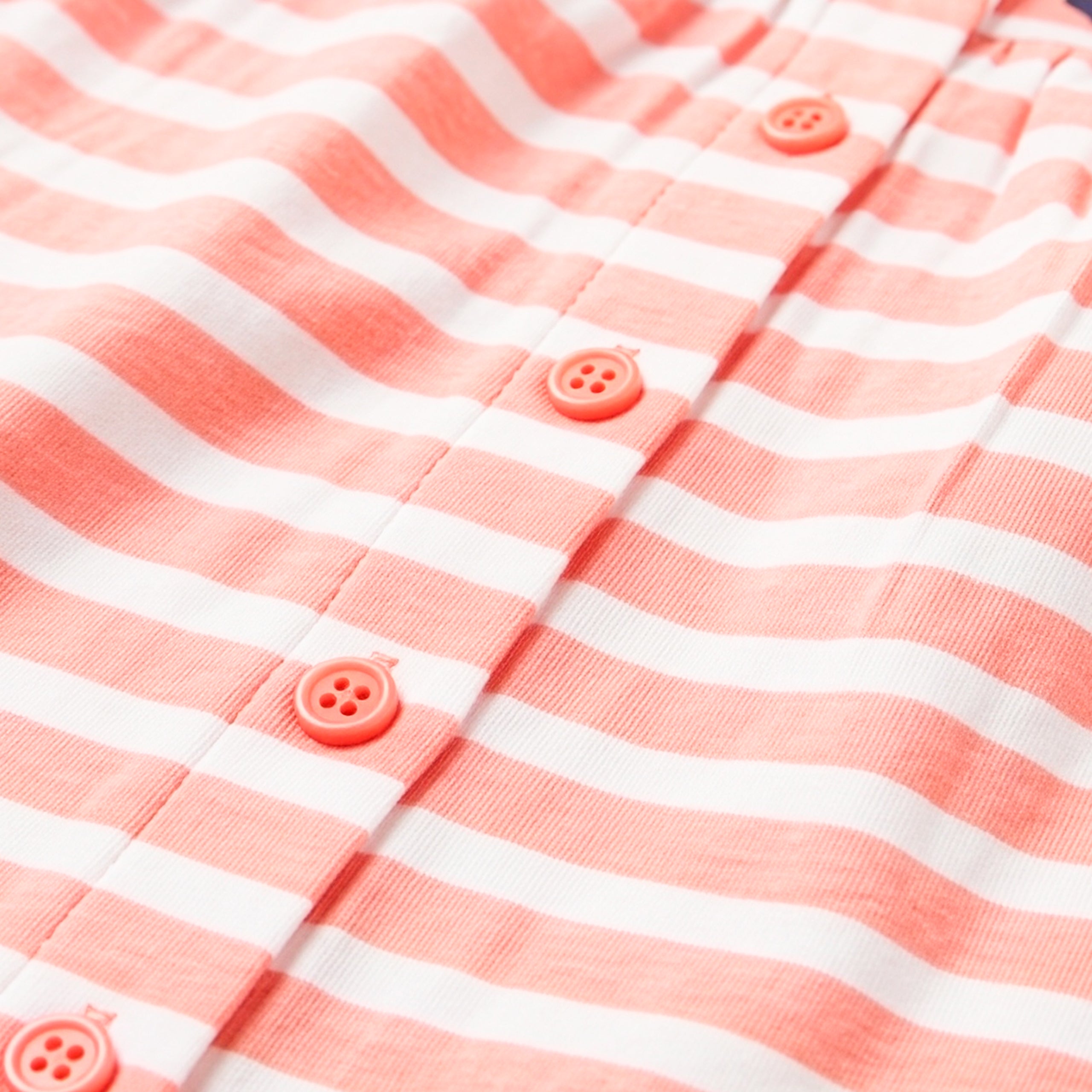 Bluey Stripe Button Down Dress