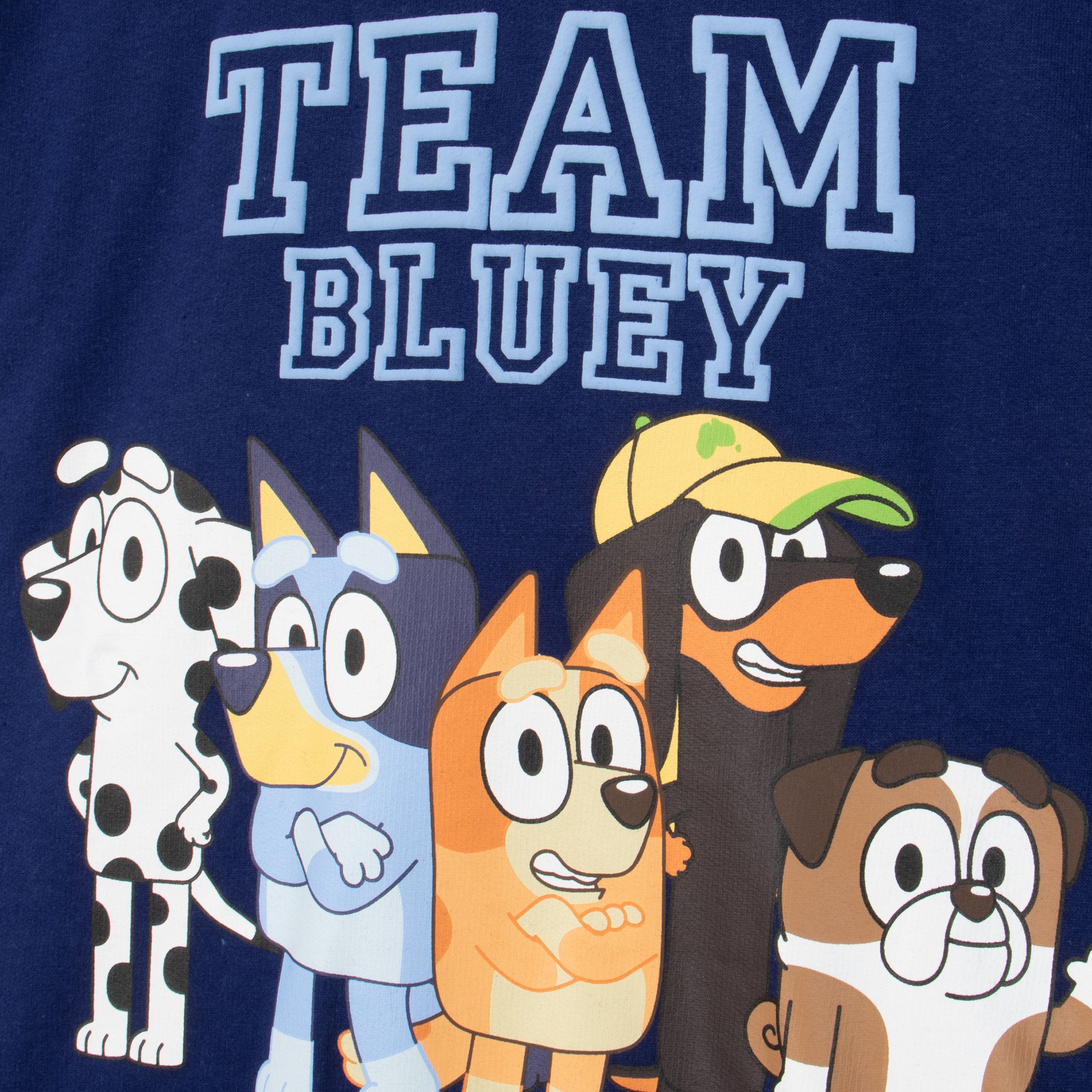 Bluey And Friends Hoodie