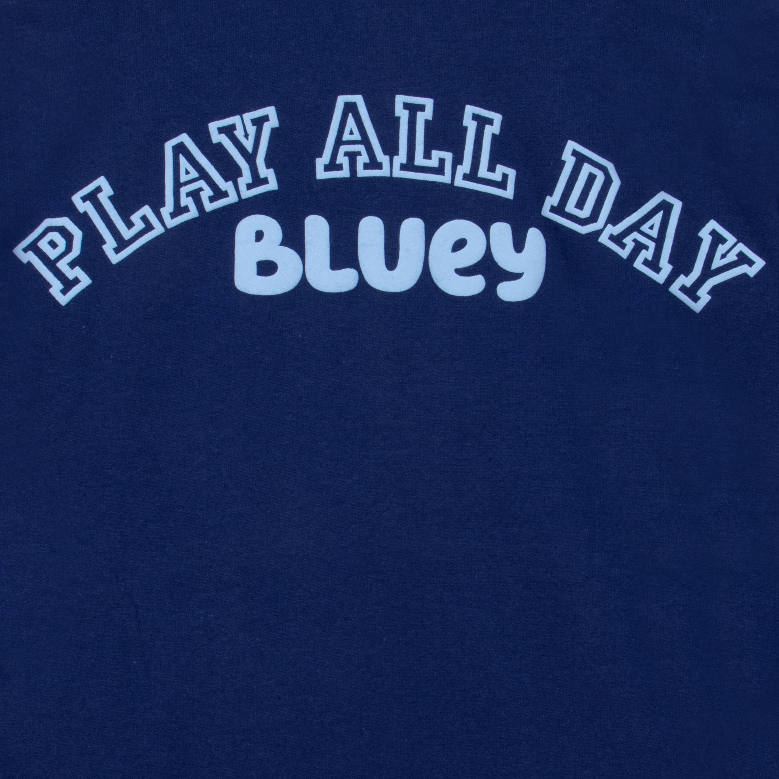 Bluey And Friends Hoodie