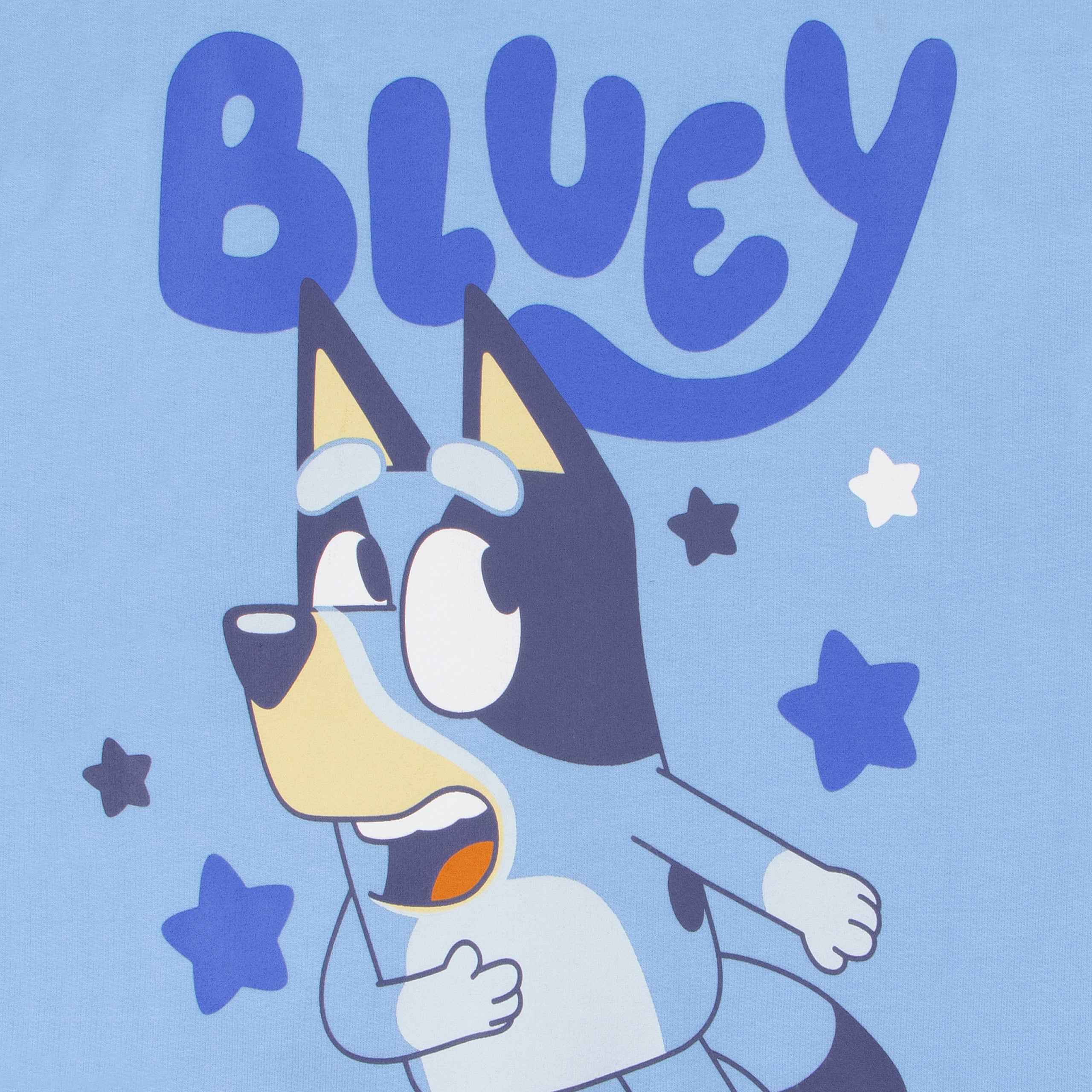Bluey And Bingo Bomber Jacket