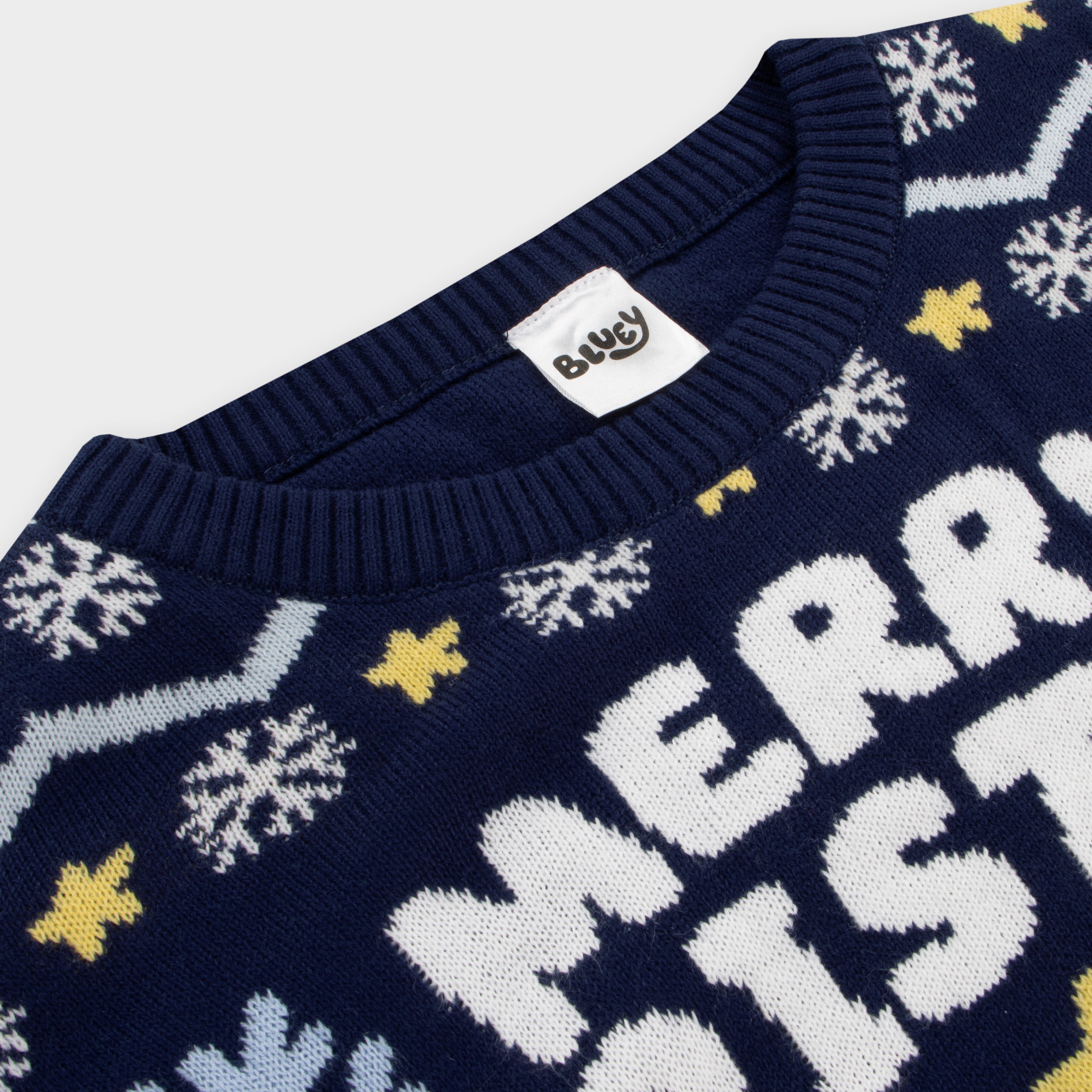 Bluey Mens Christmas Jumper