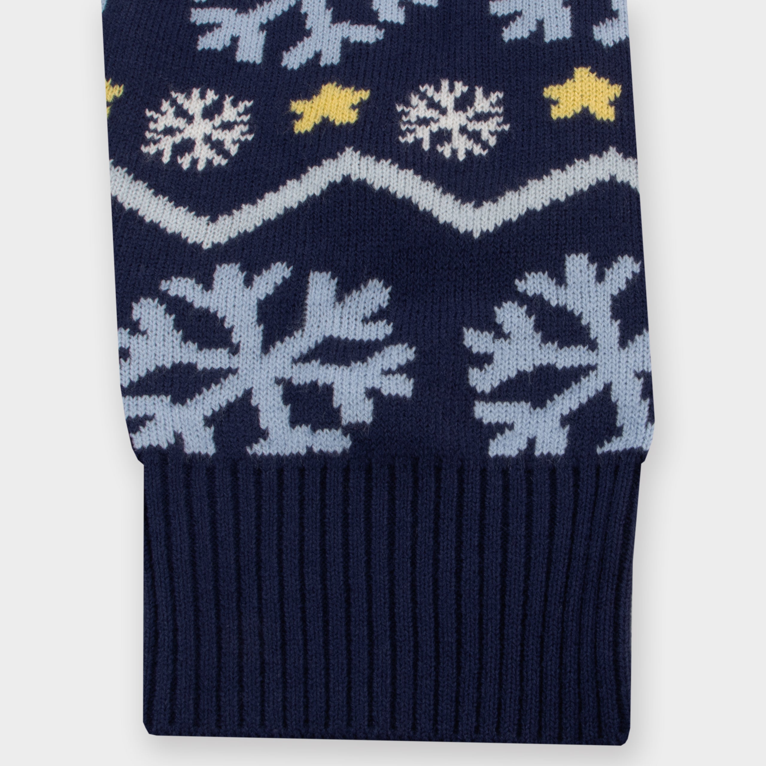 Bluey Mens Christmas Jumper