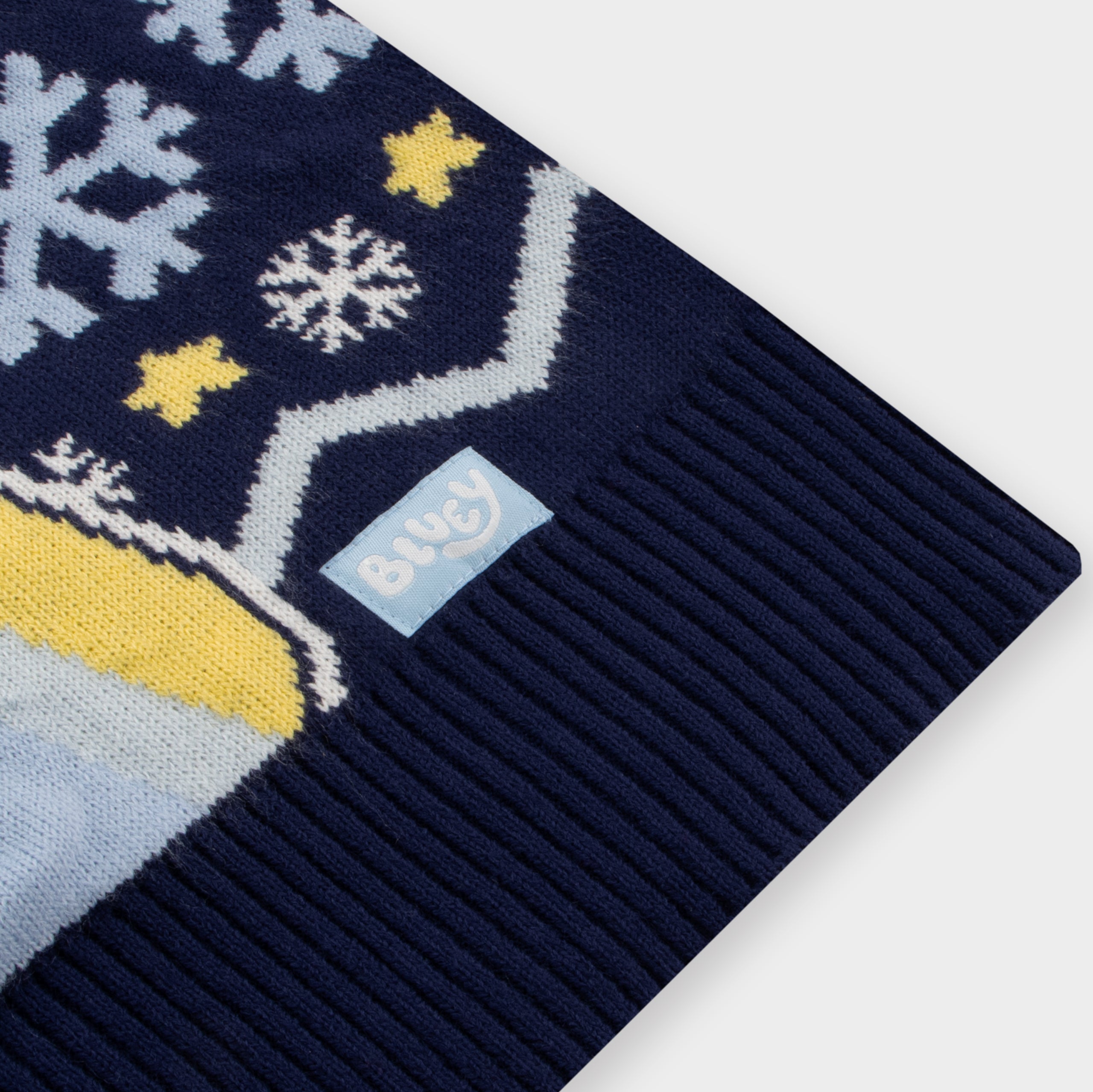 Bluey Mens Christmas Jumper