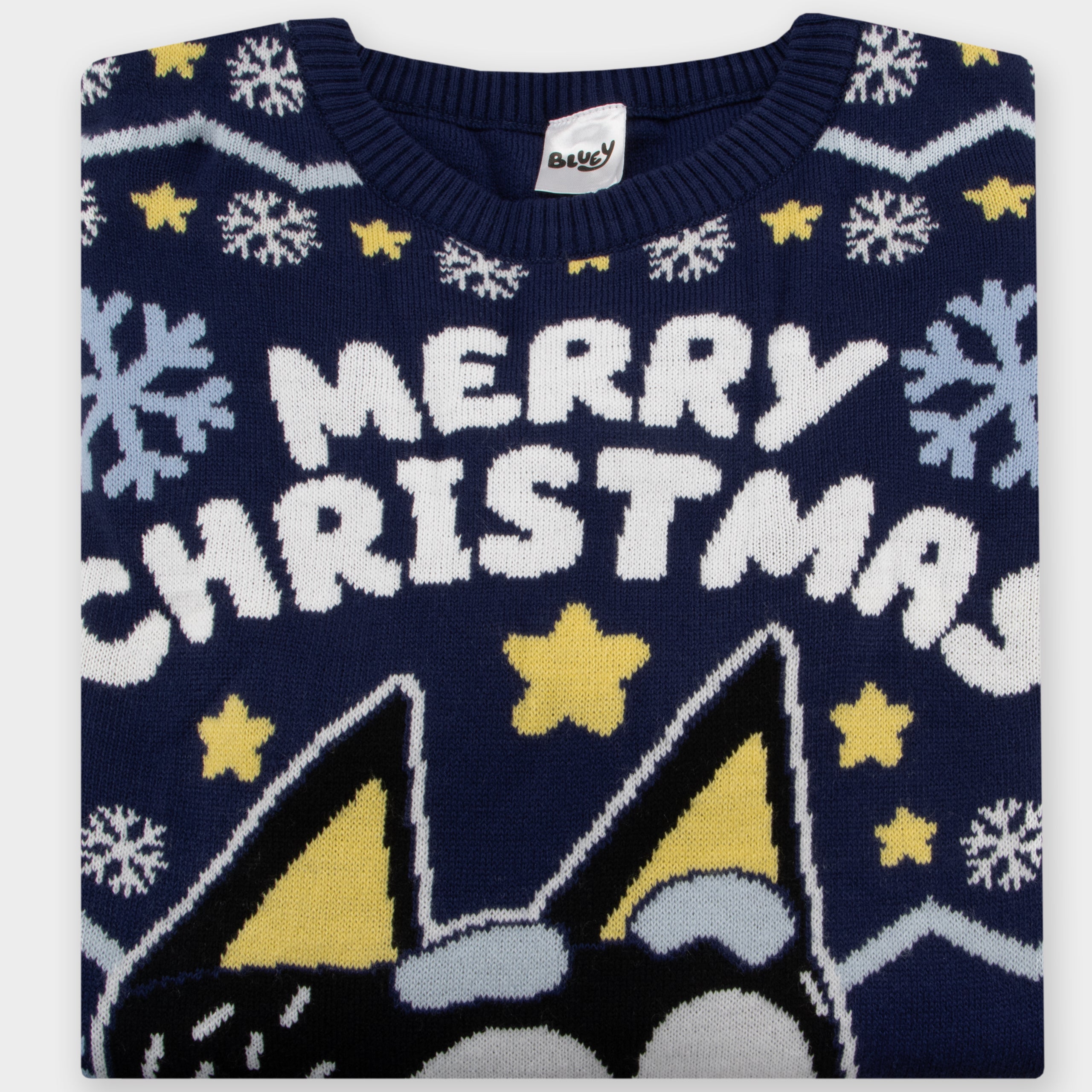 Bluey Mens Christmas Jumper
