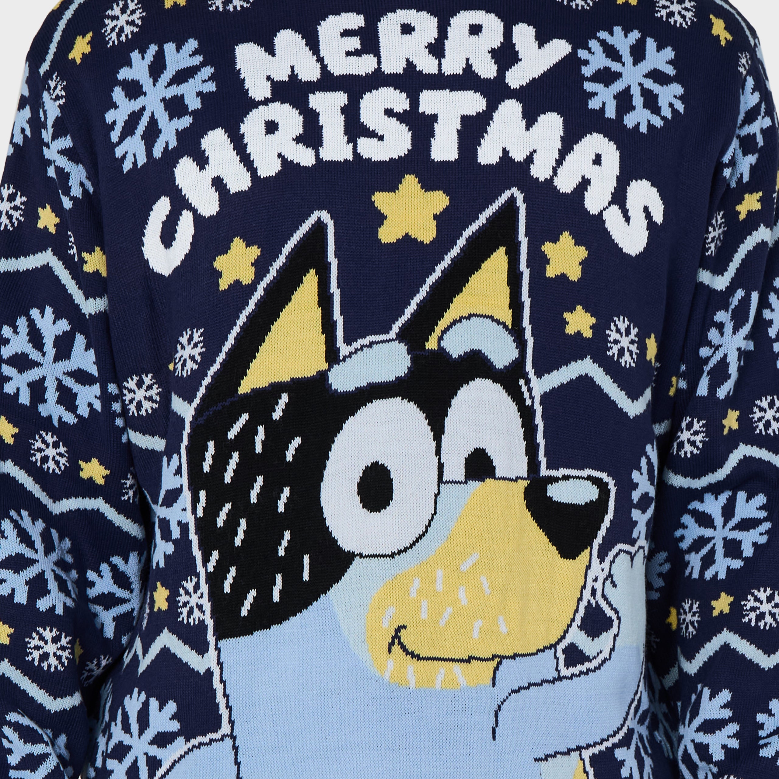 Bluey Mens Christmas Jumper