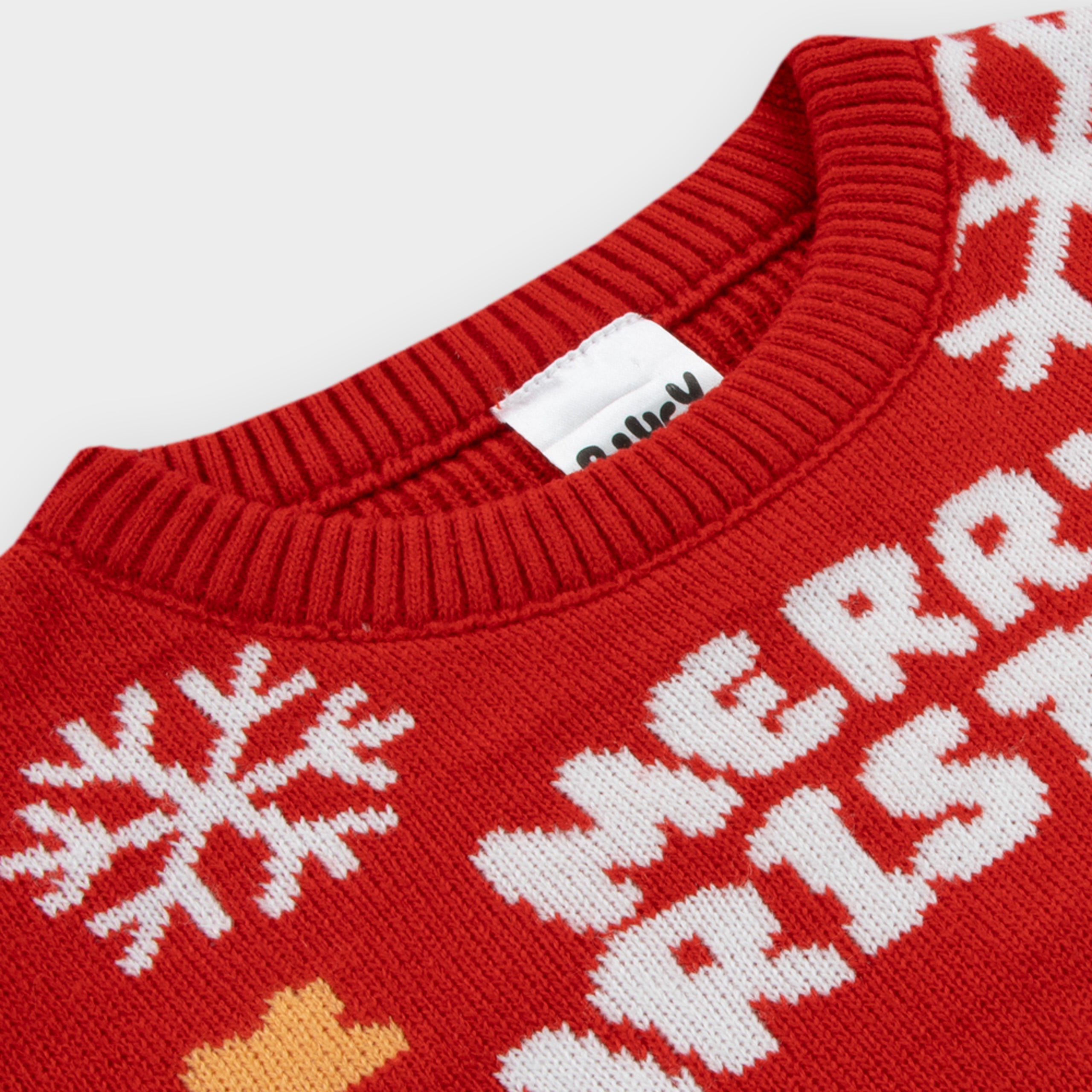 Bluey Girls Christmas Jumper