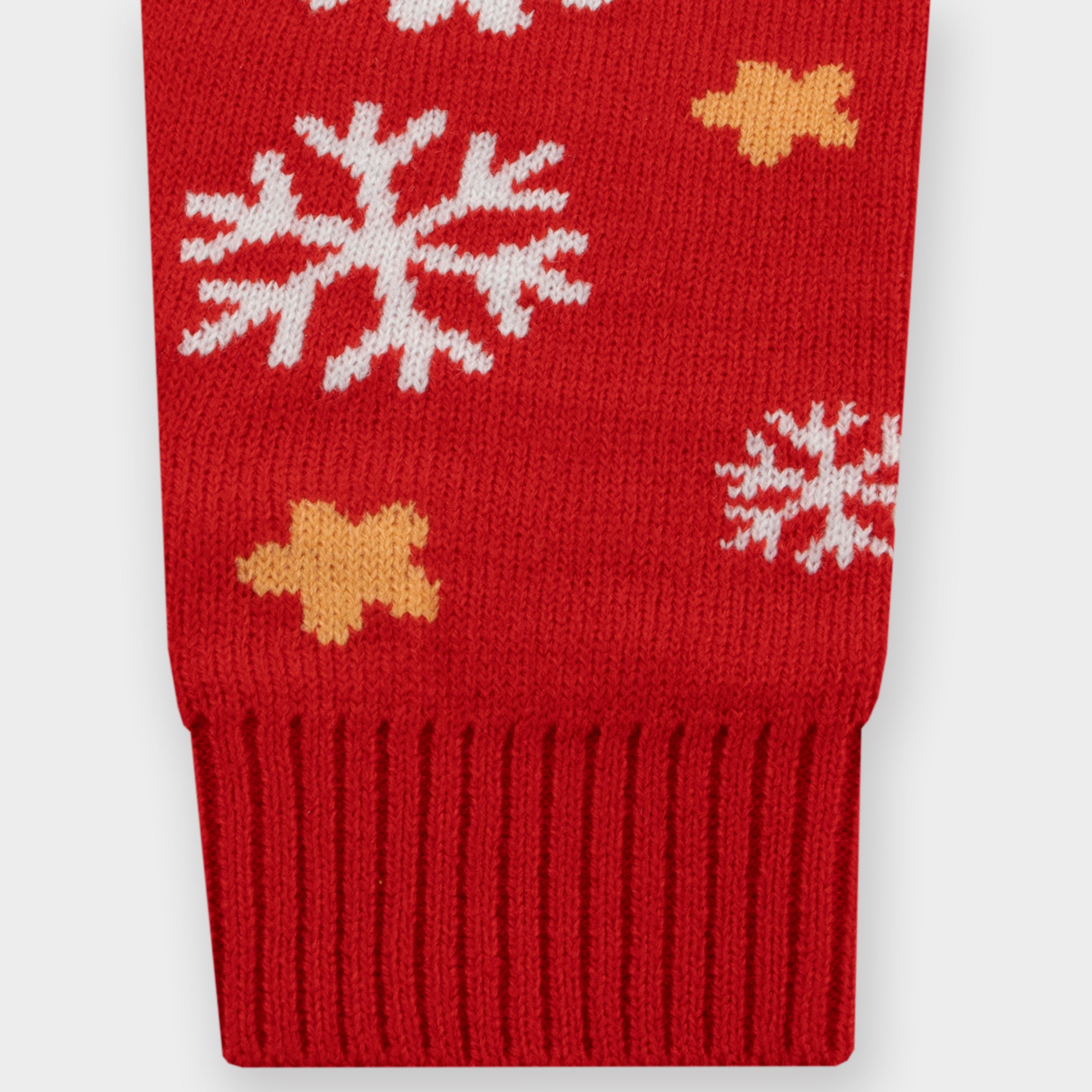 Bluey Girls Christmas Jumper