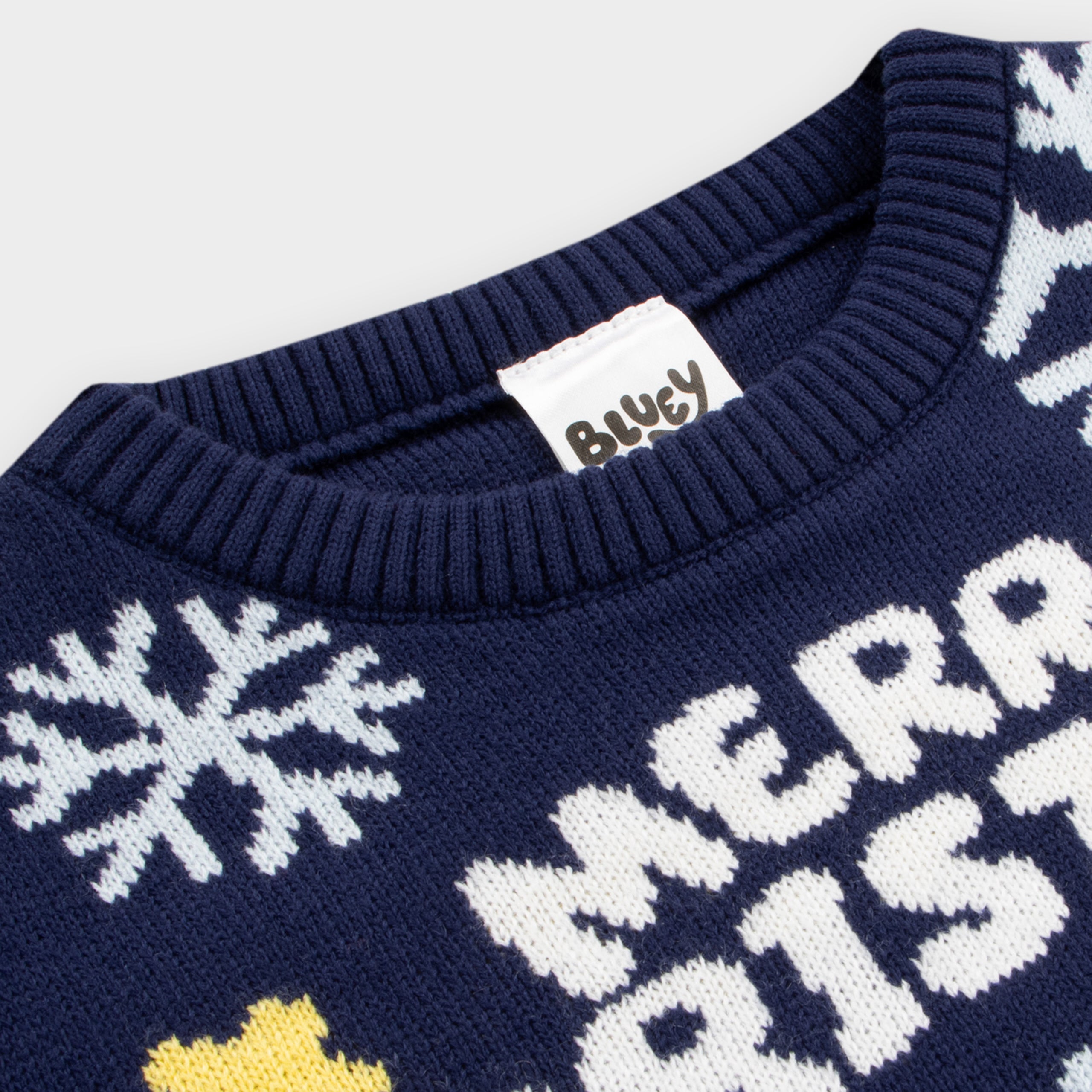 Bluey Boys Christmas Jumper