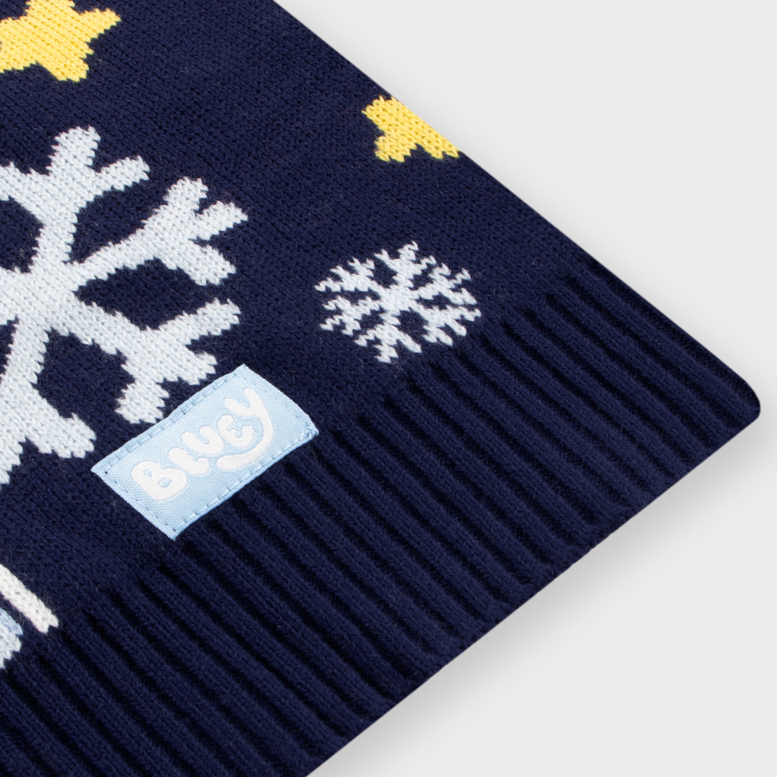 Bluey Boys Christmas Jumper