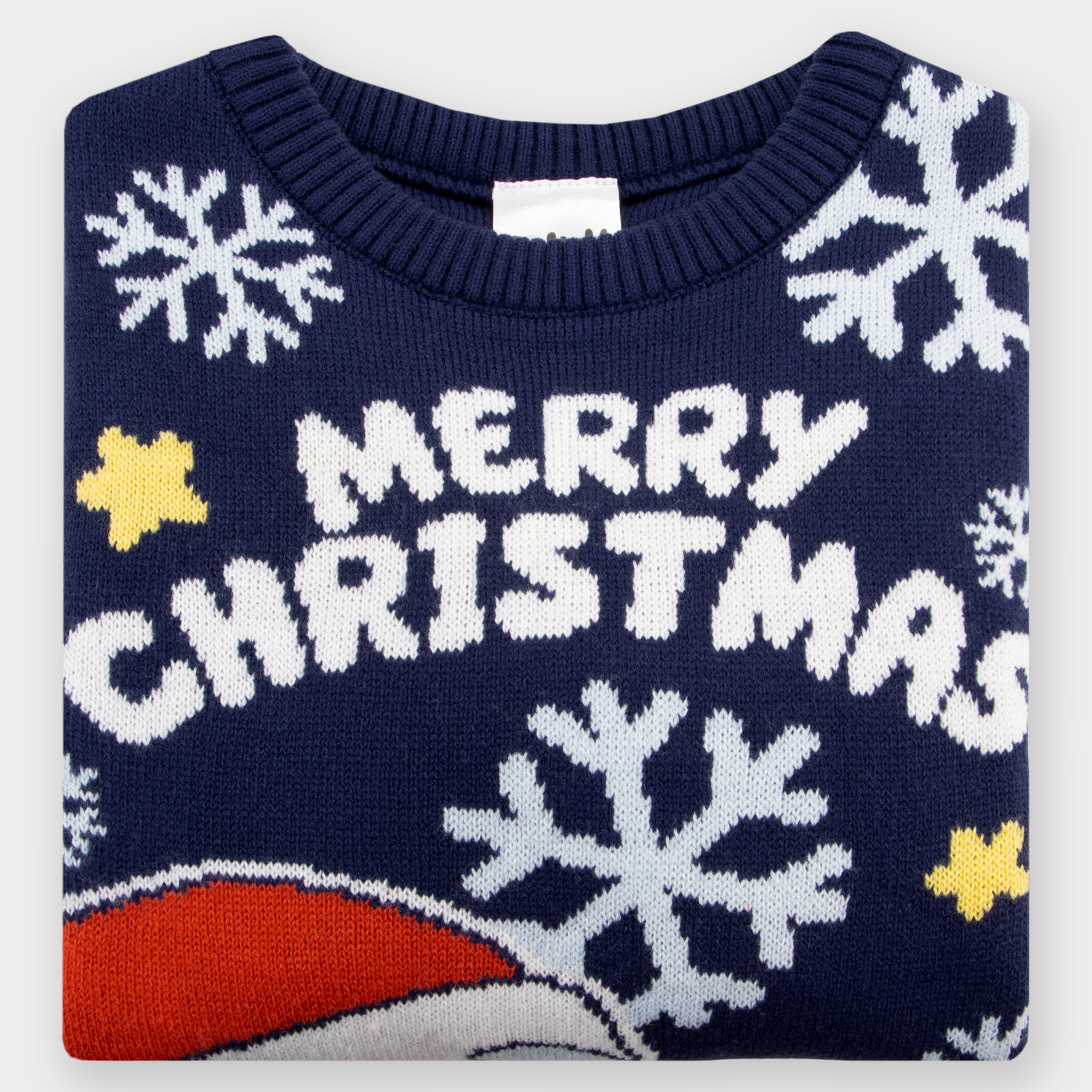 Bluey Boys Christmas Jumper