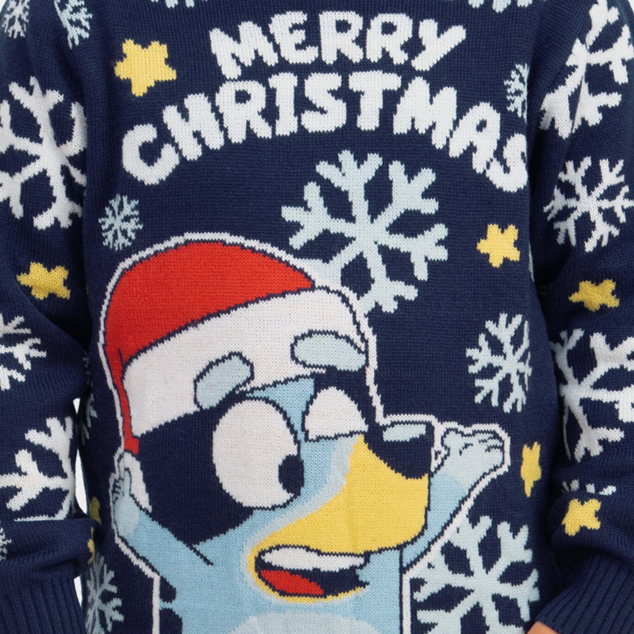 Bluey Boys Christmas Jumper