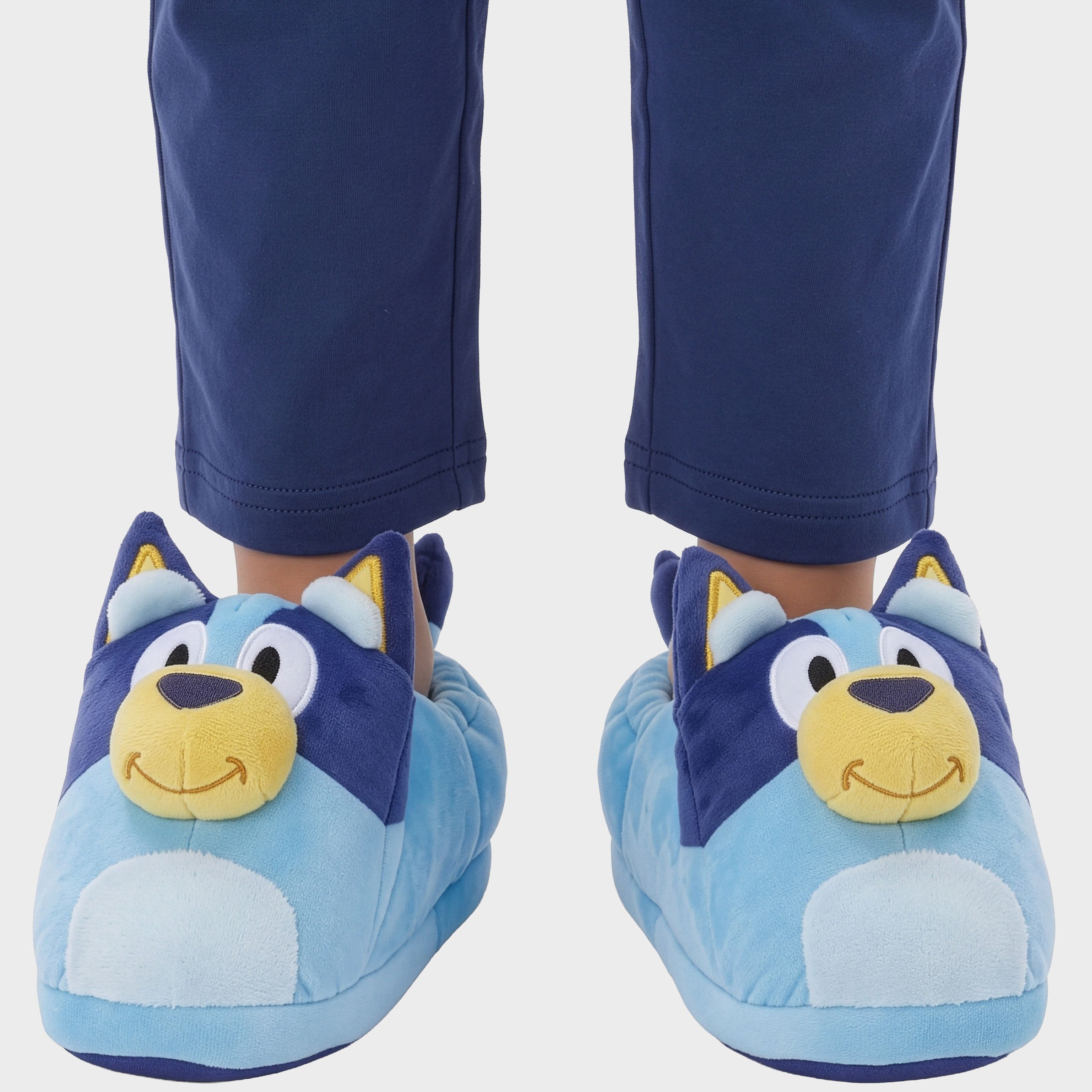 Bluey 3D Slippers