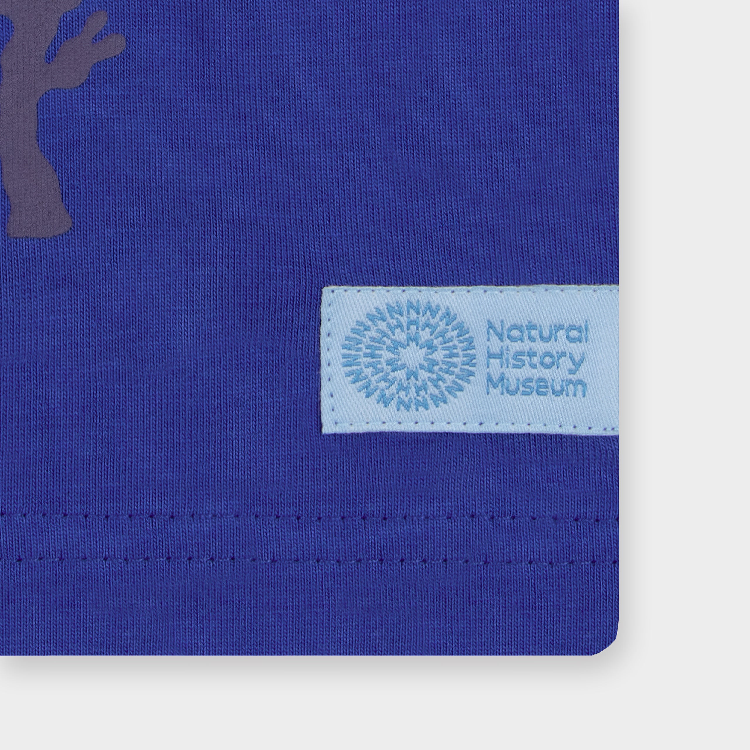 Blippi x NHM Ancient Sea Creatures Glow In The Dark Pyjamas