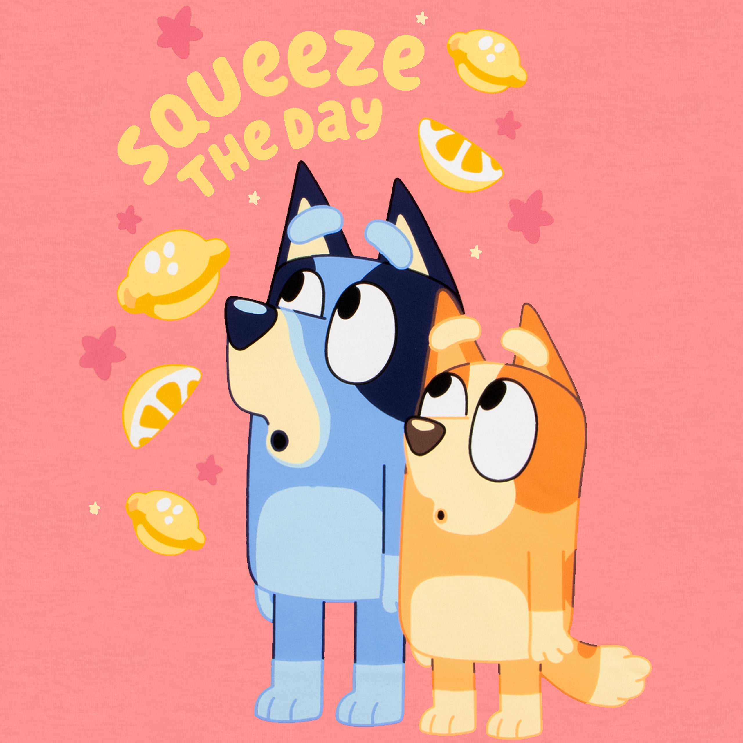 Bluey And Bingo Squeeze the Day Short Pyjama Set
