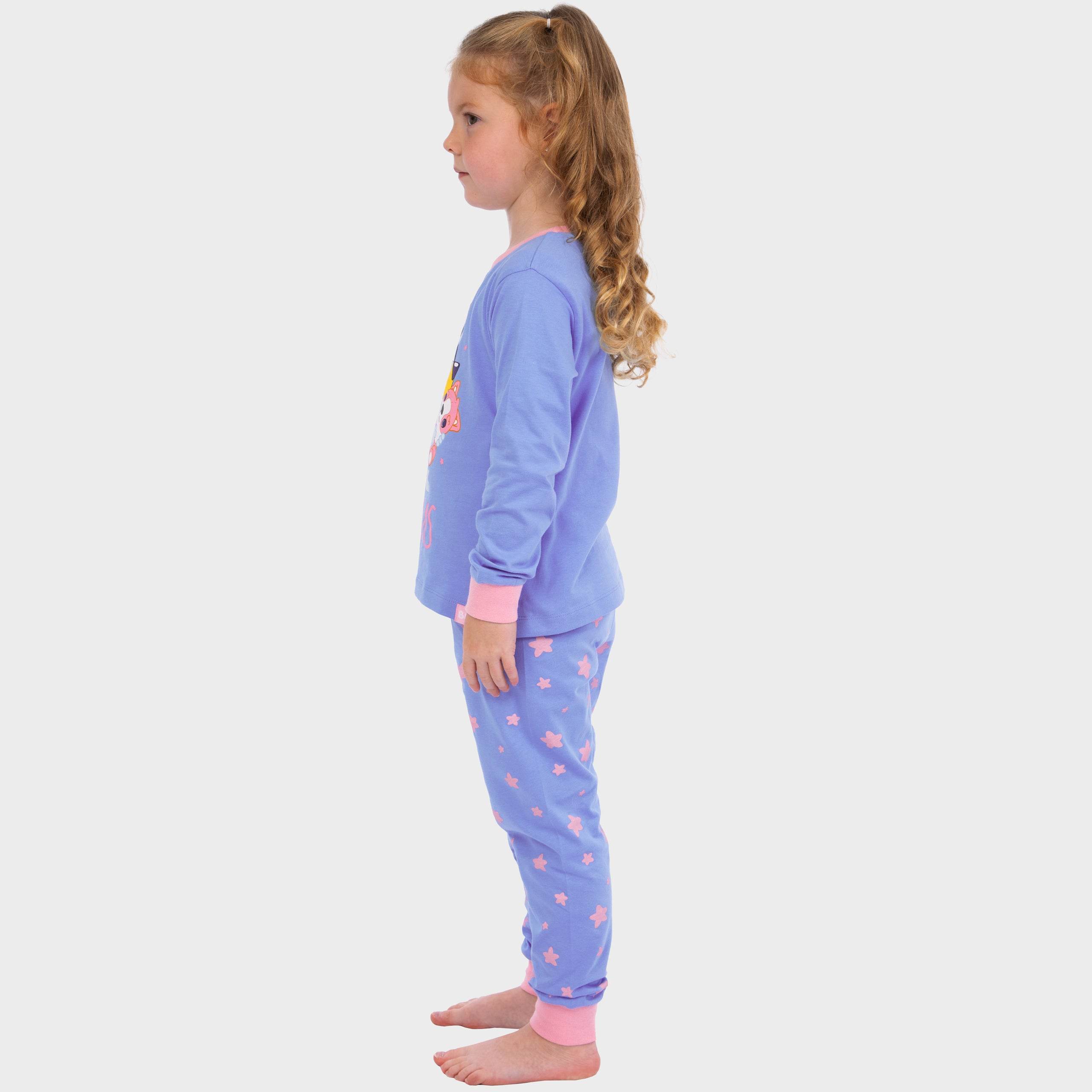 Bluey And Bingo Pyjamas - Character.com