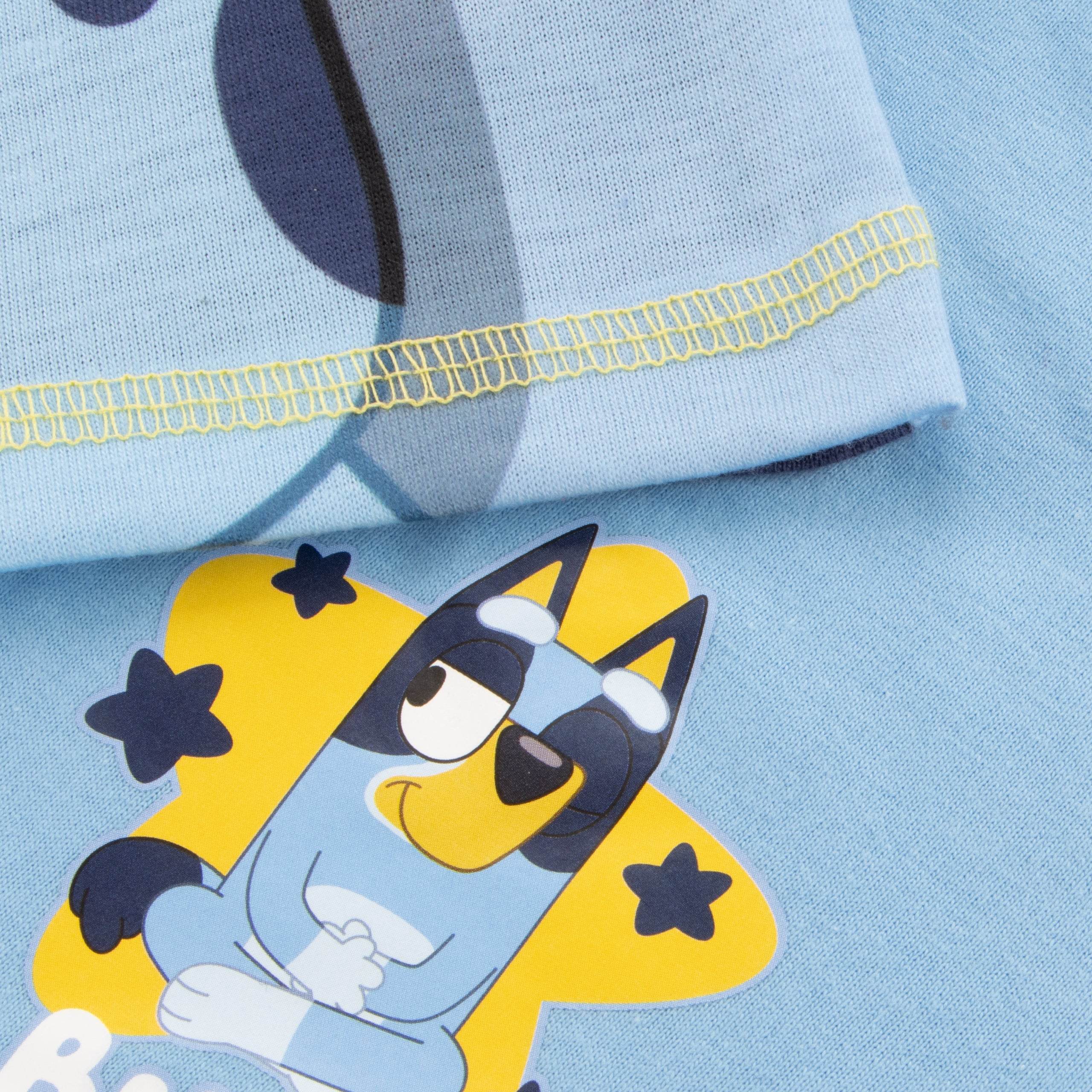 Bluey Sleepy Time Pyjamas - Character.com