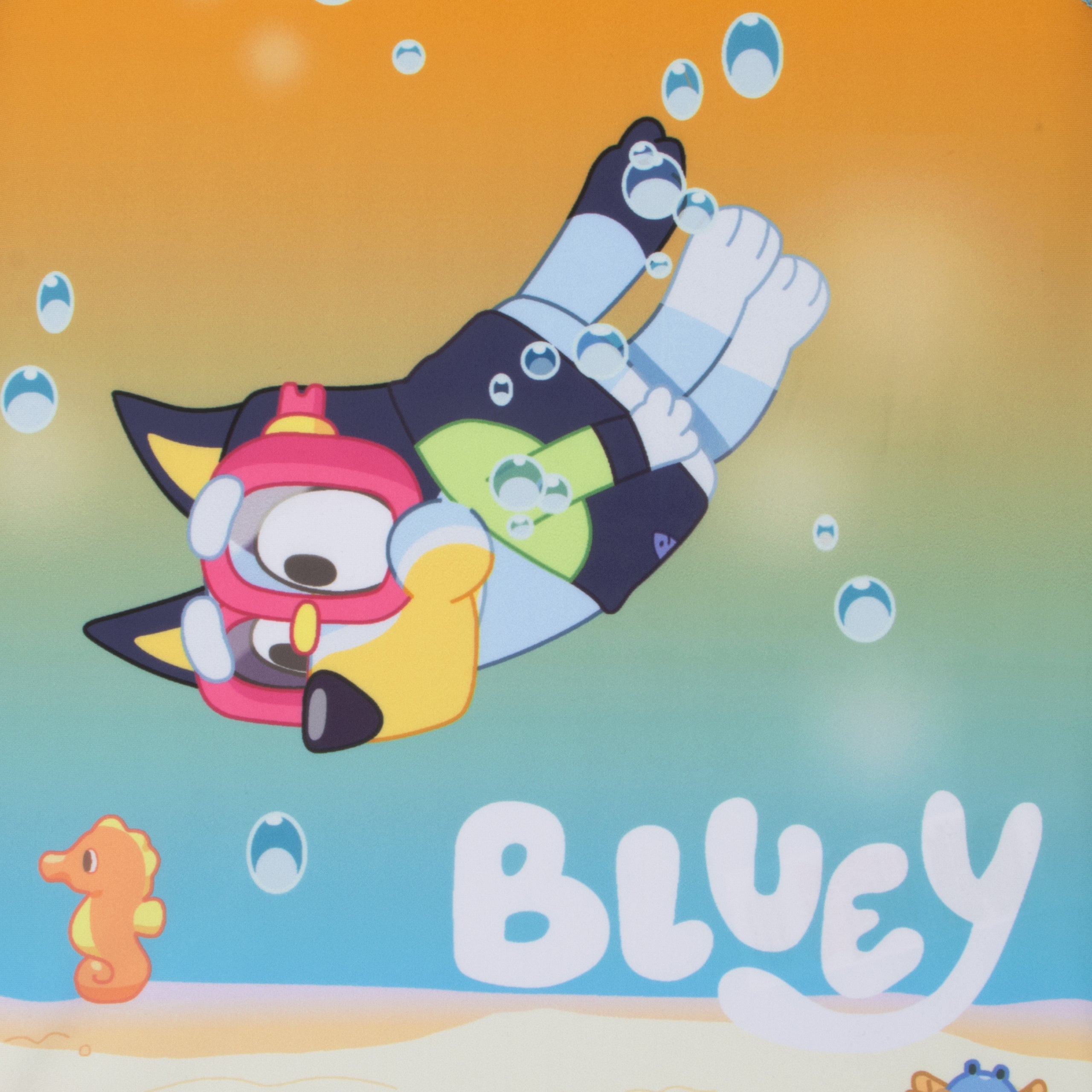 Bluey Two Piece Swim Set - Long Sleeve