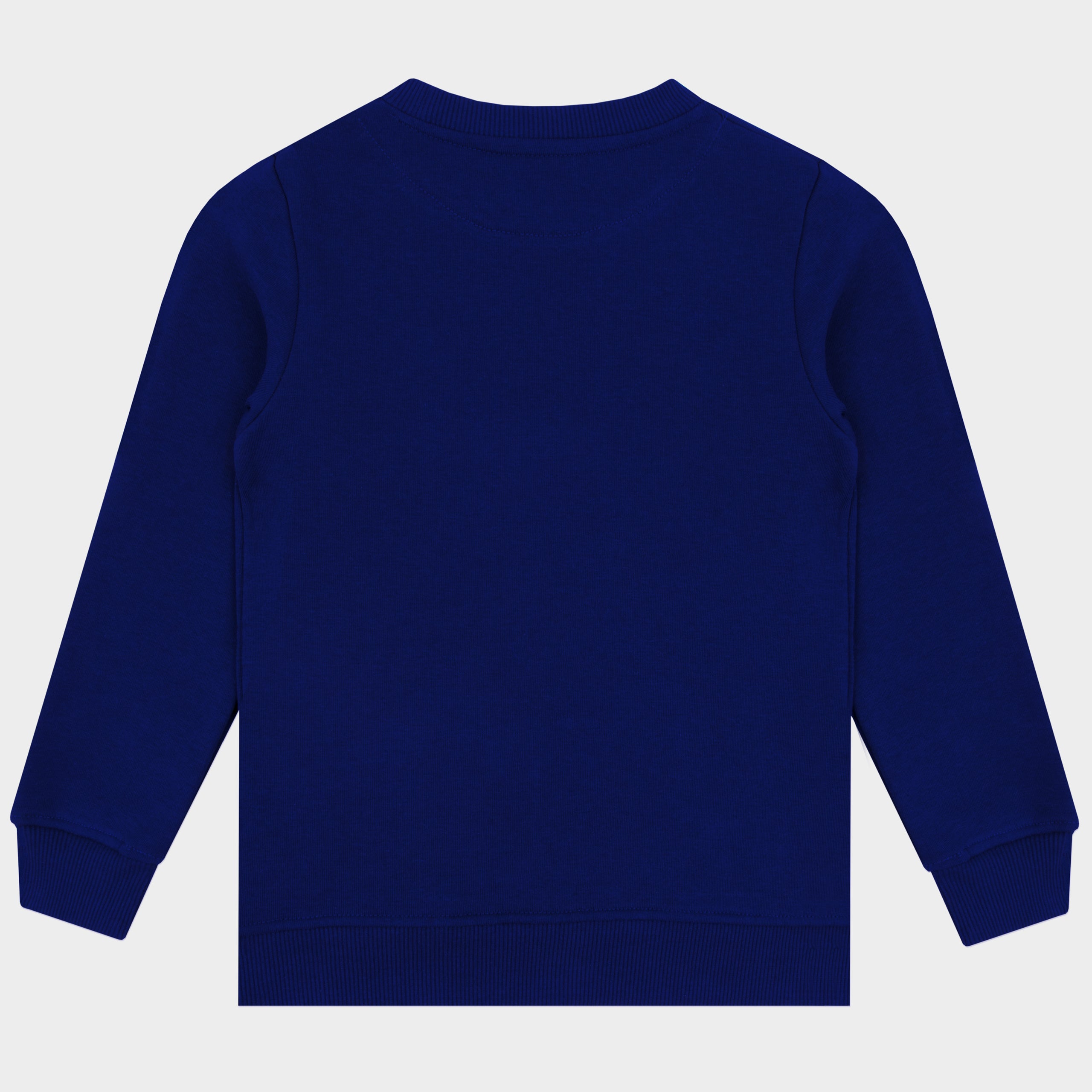 Bluey And Bingo Halloween Sweatshirt