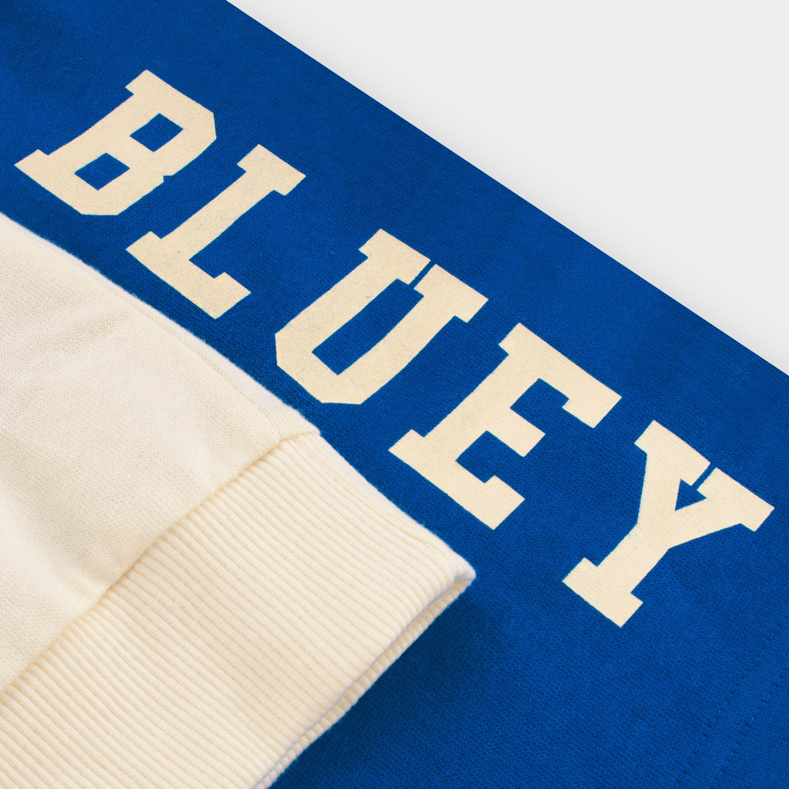 Bluey Sweatshirt & Shorts Set - Character.com