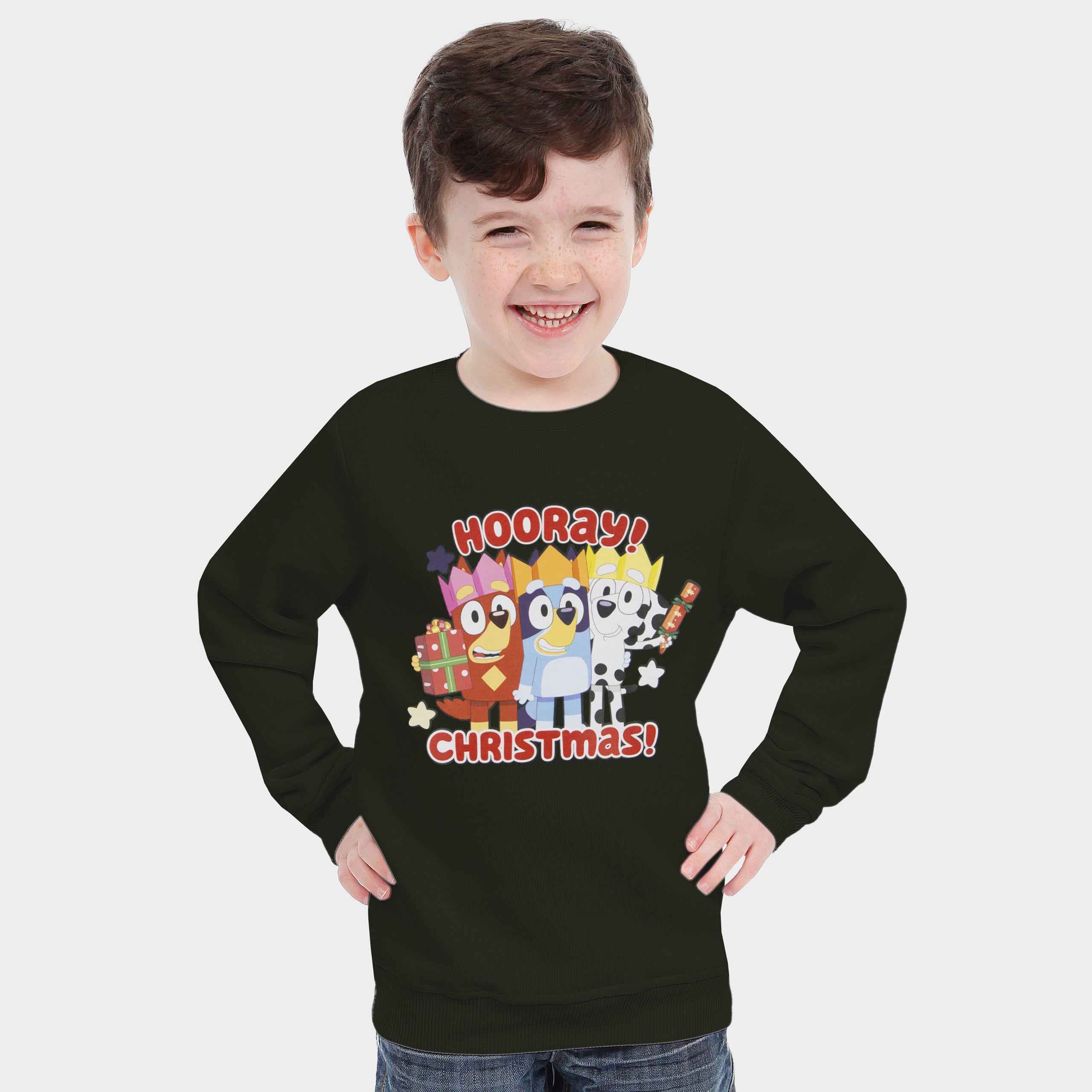 Bluey Christmas Sweatshirt
