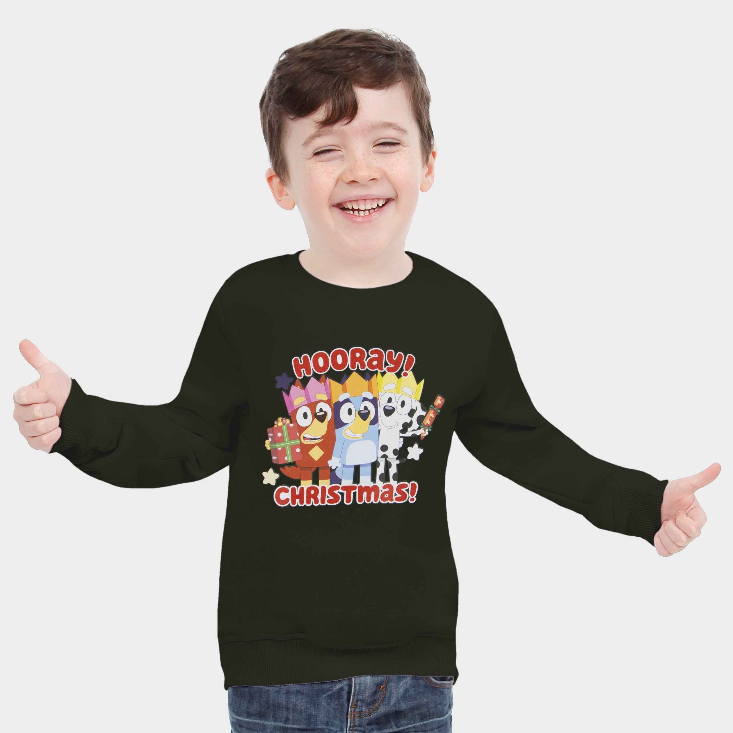 Bluey Christmas Sweatshirt