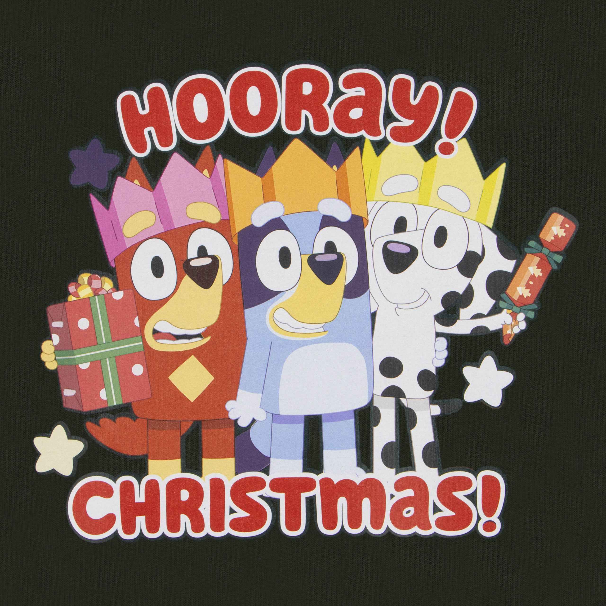 Bluey Christmas Sweatshirt