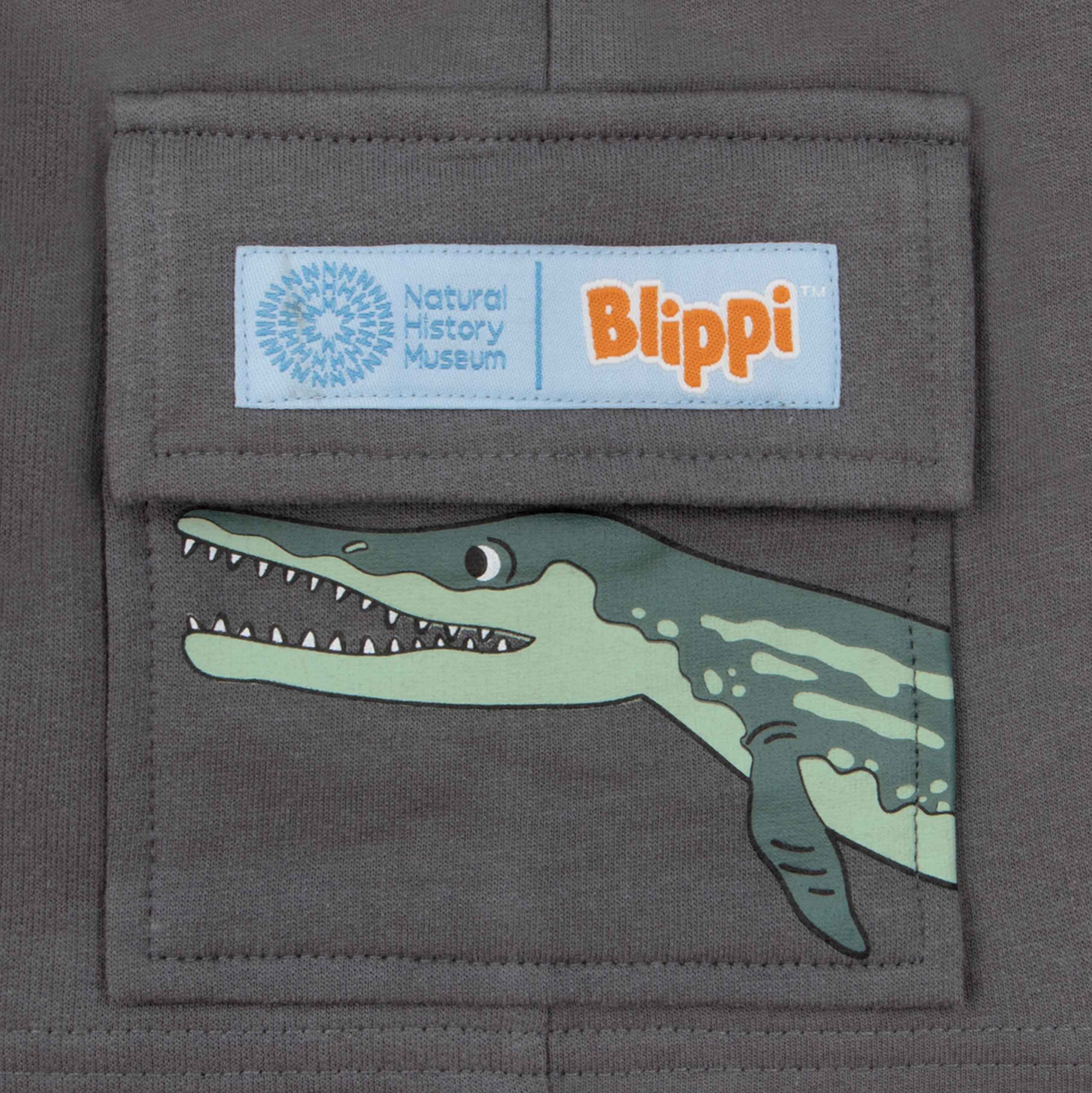 Blippi T-Shirt And Shorts Set