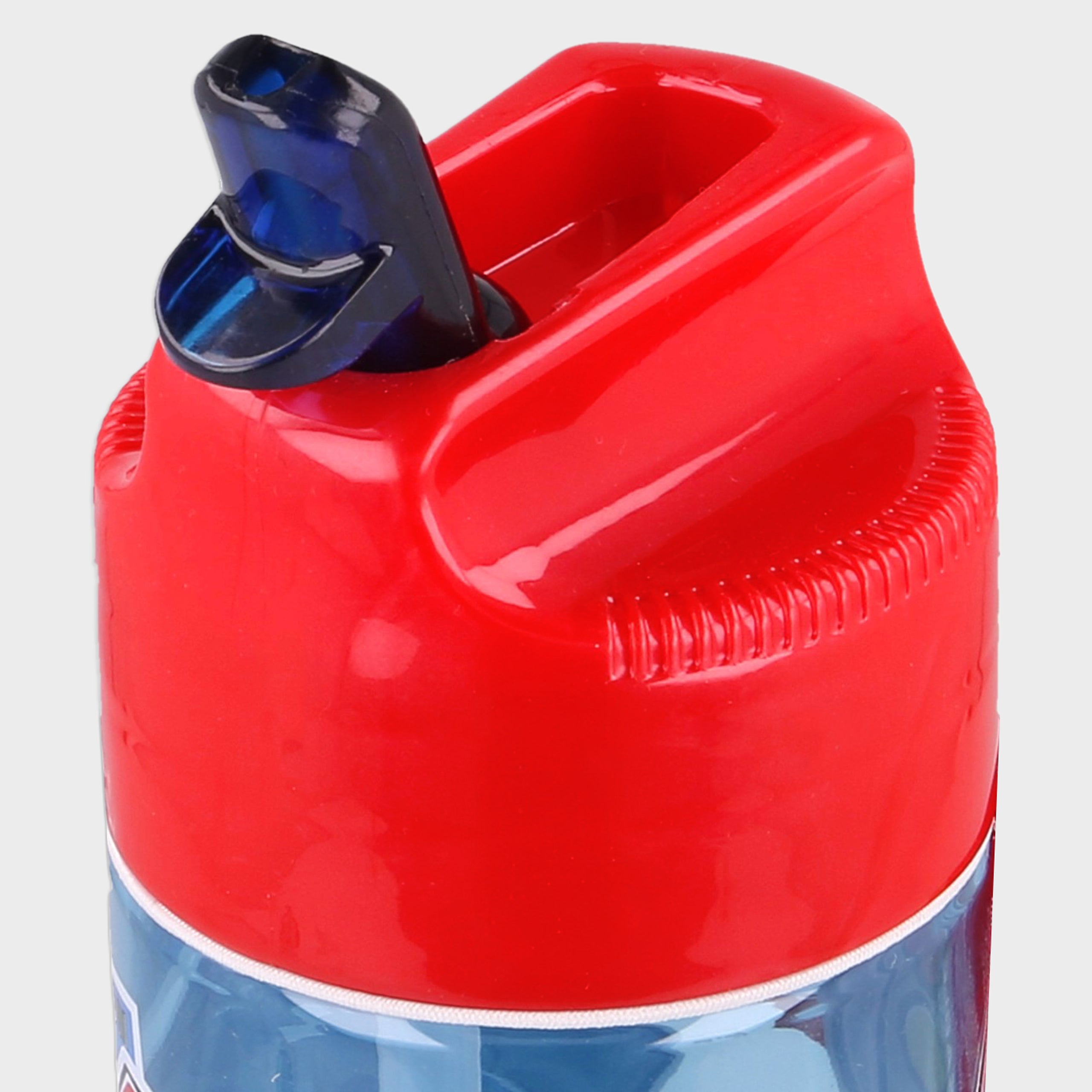 Disney Cars Water Bottle