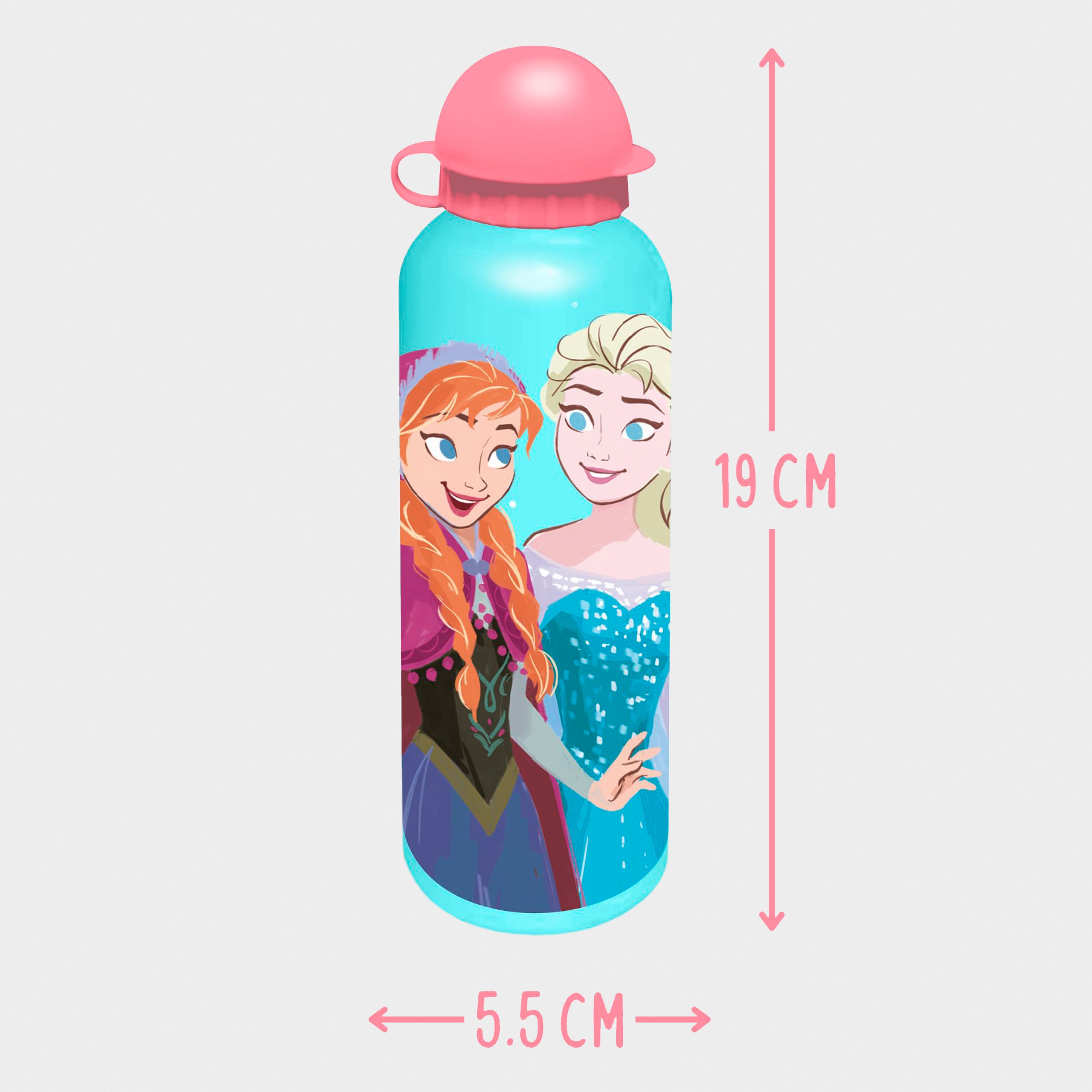 Disney Frozen Lunch Box And Water Bottle