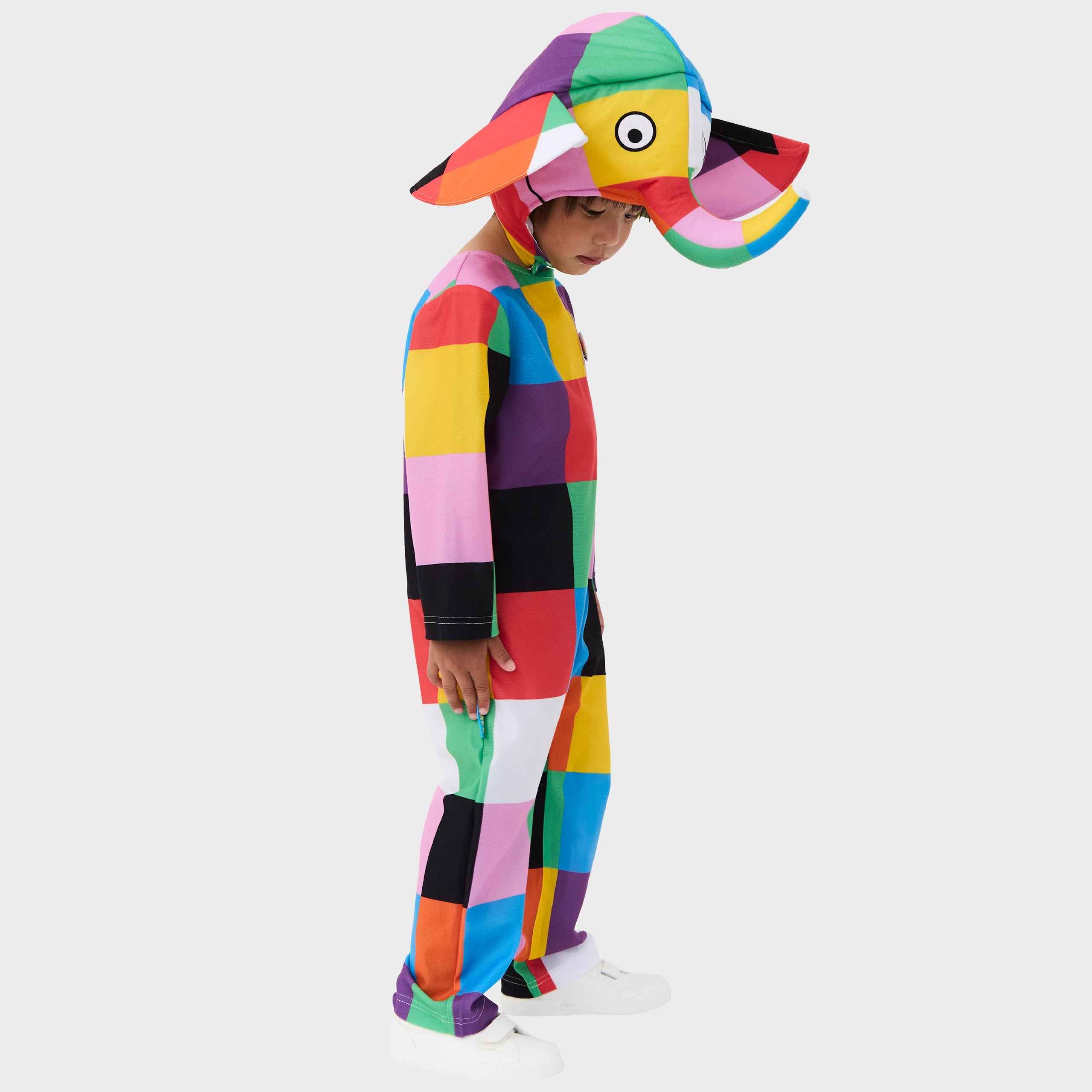 Elmer Dress Up
