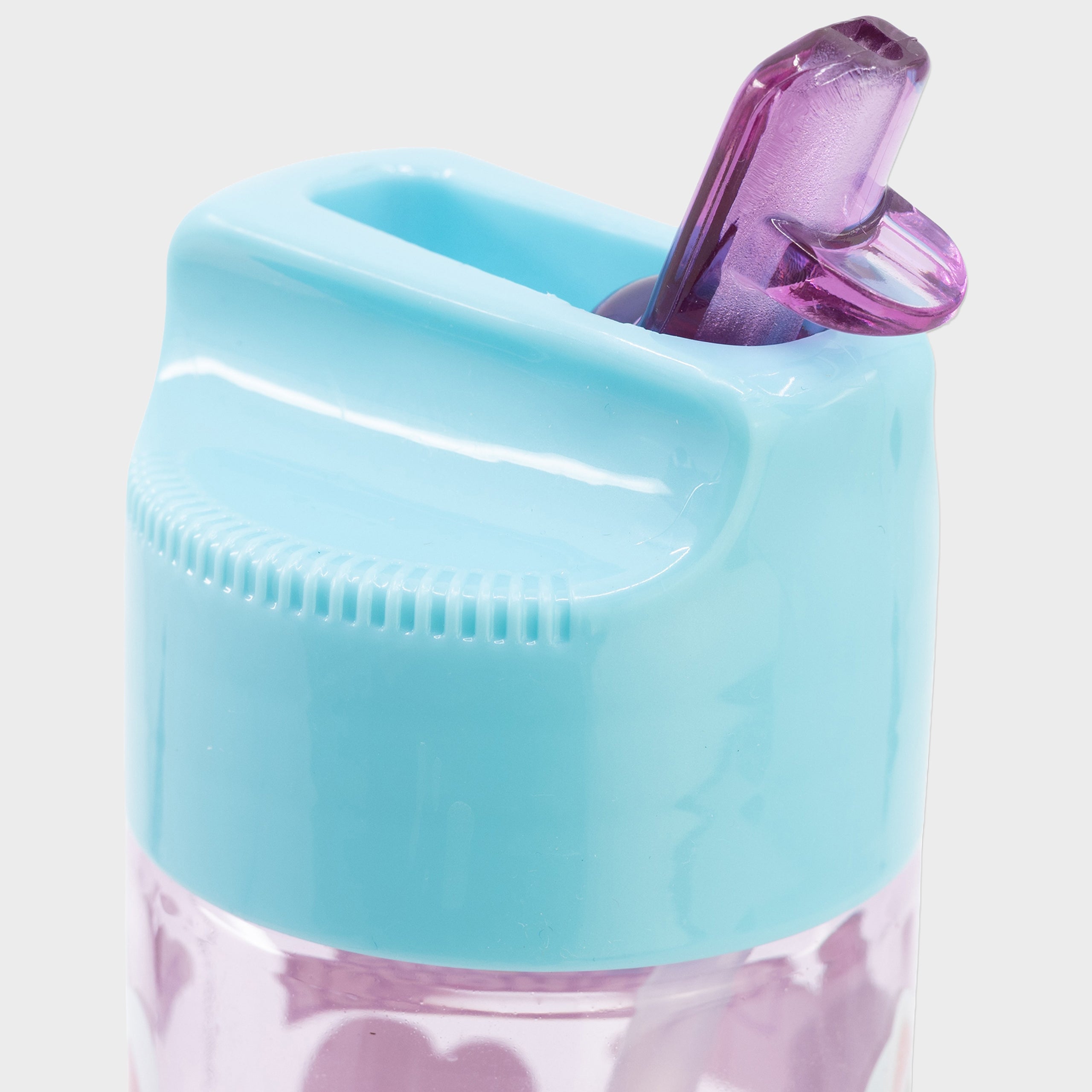 Gabby's Dollhouse Water Bottle