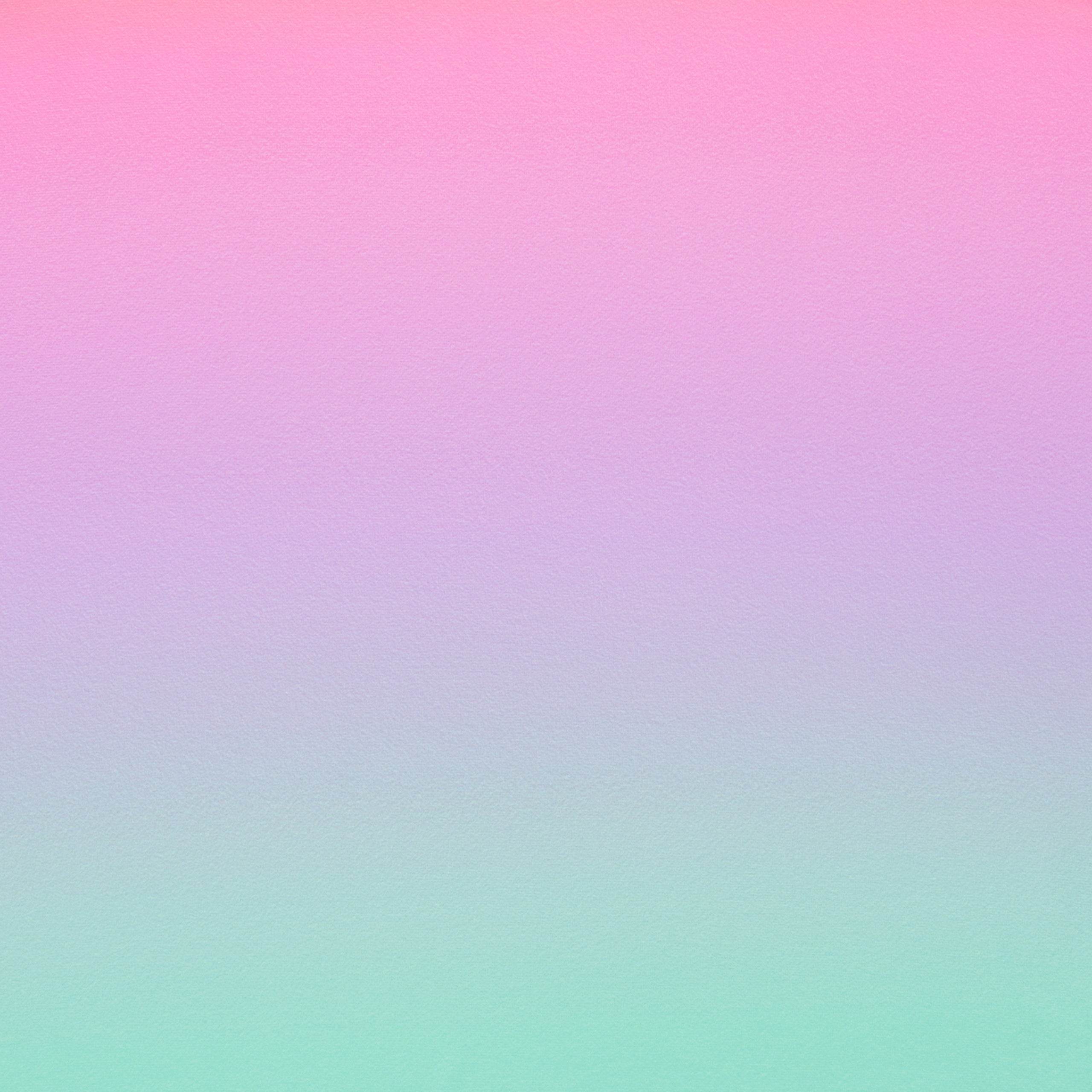 Harry Bear Malibu Swimsuit - Character.com