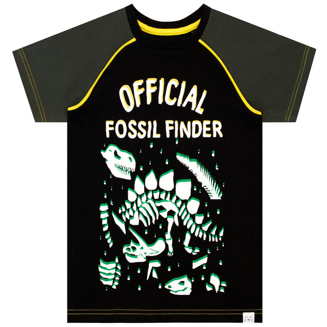 Harry Bear Dinosaur T-Shirt - Fossil Finder - Character.com