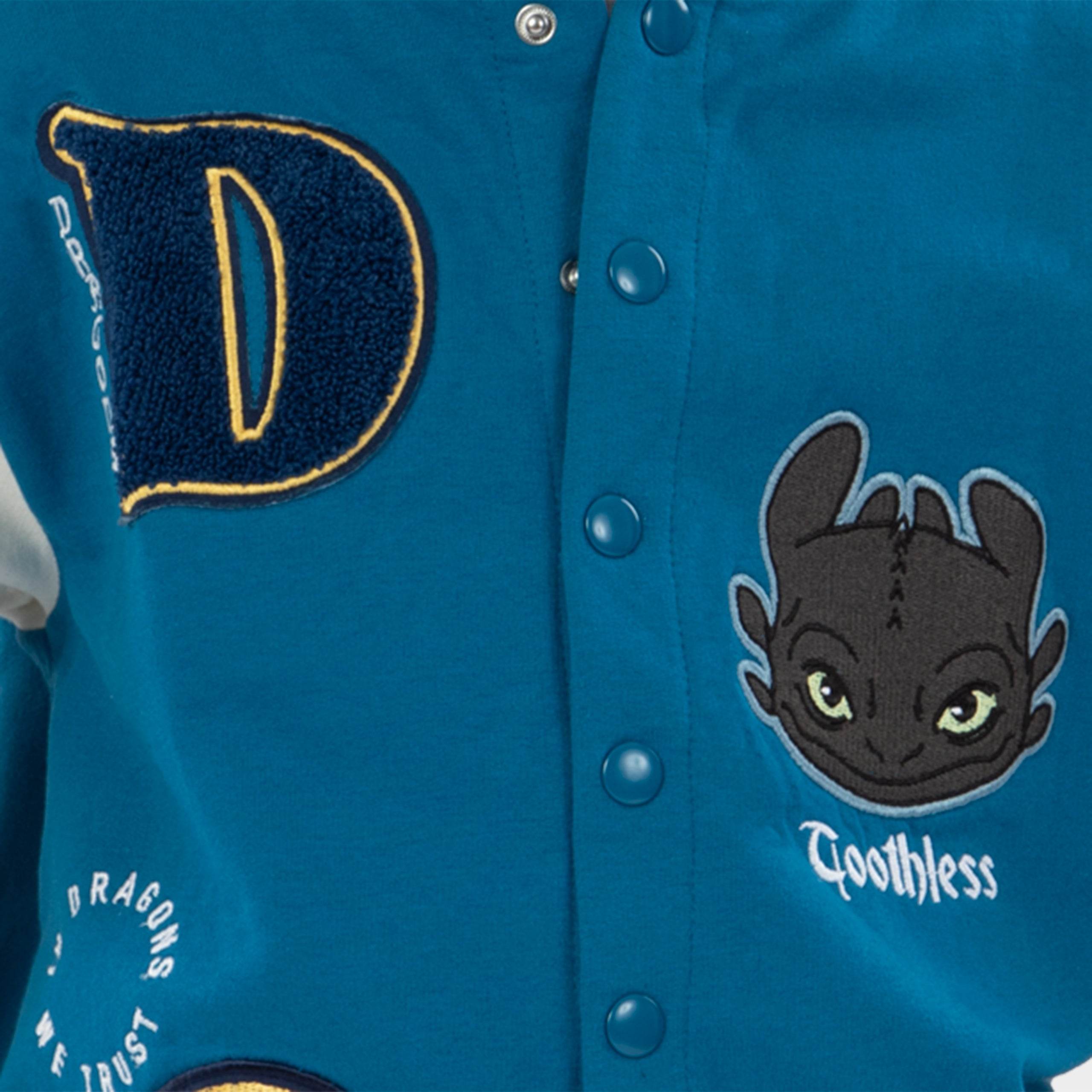 How To Train Your Dragon Boys Bomber Jacket - Character.com