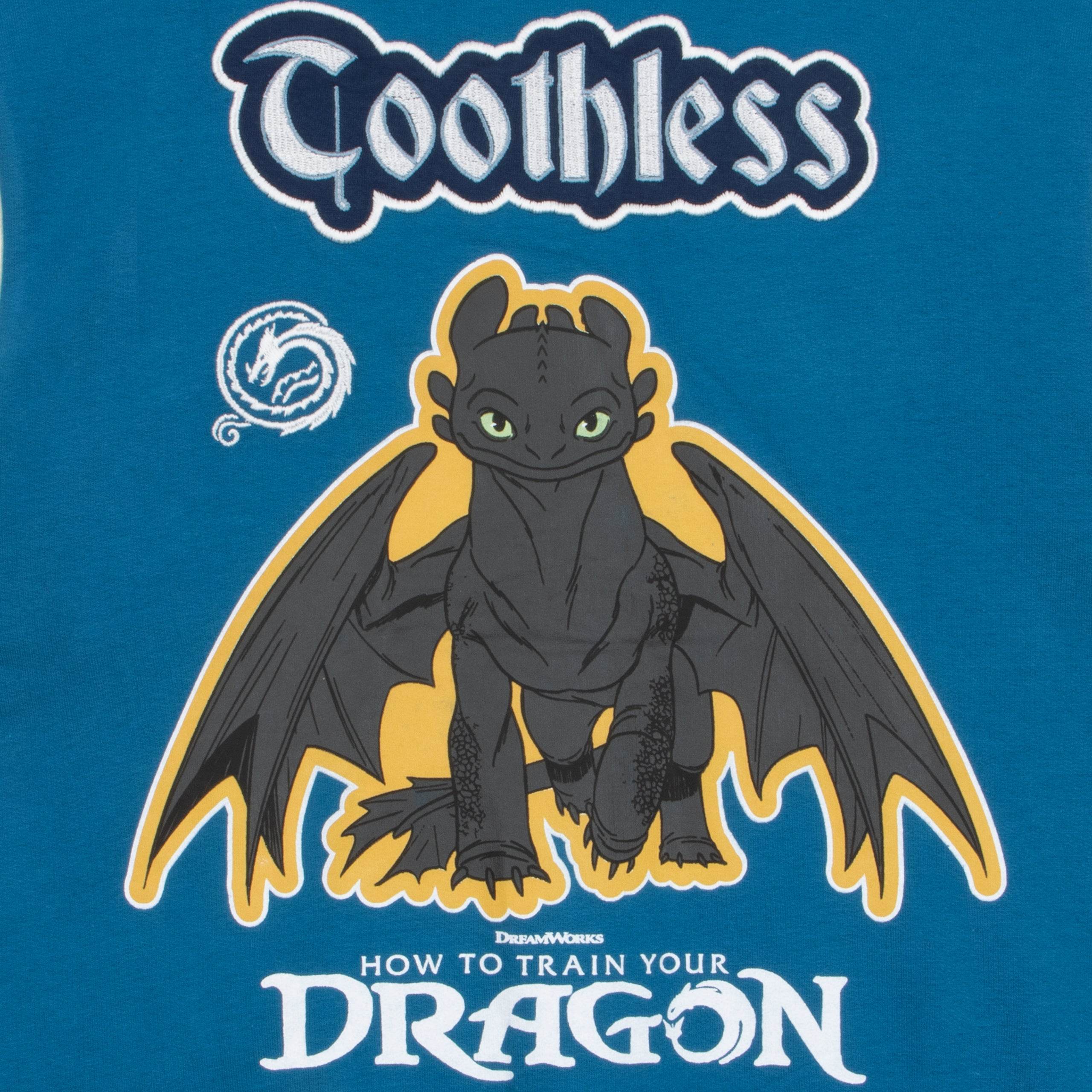 How To Train Your Dragon Boys Bomber Jacket - Character.com