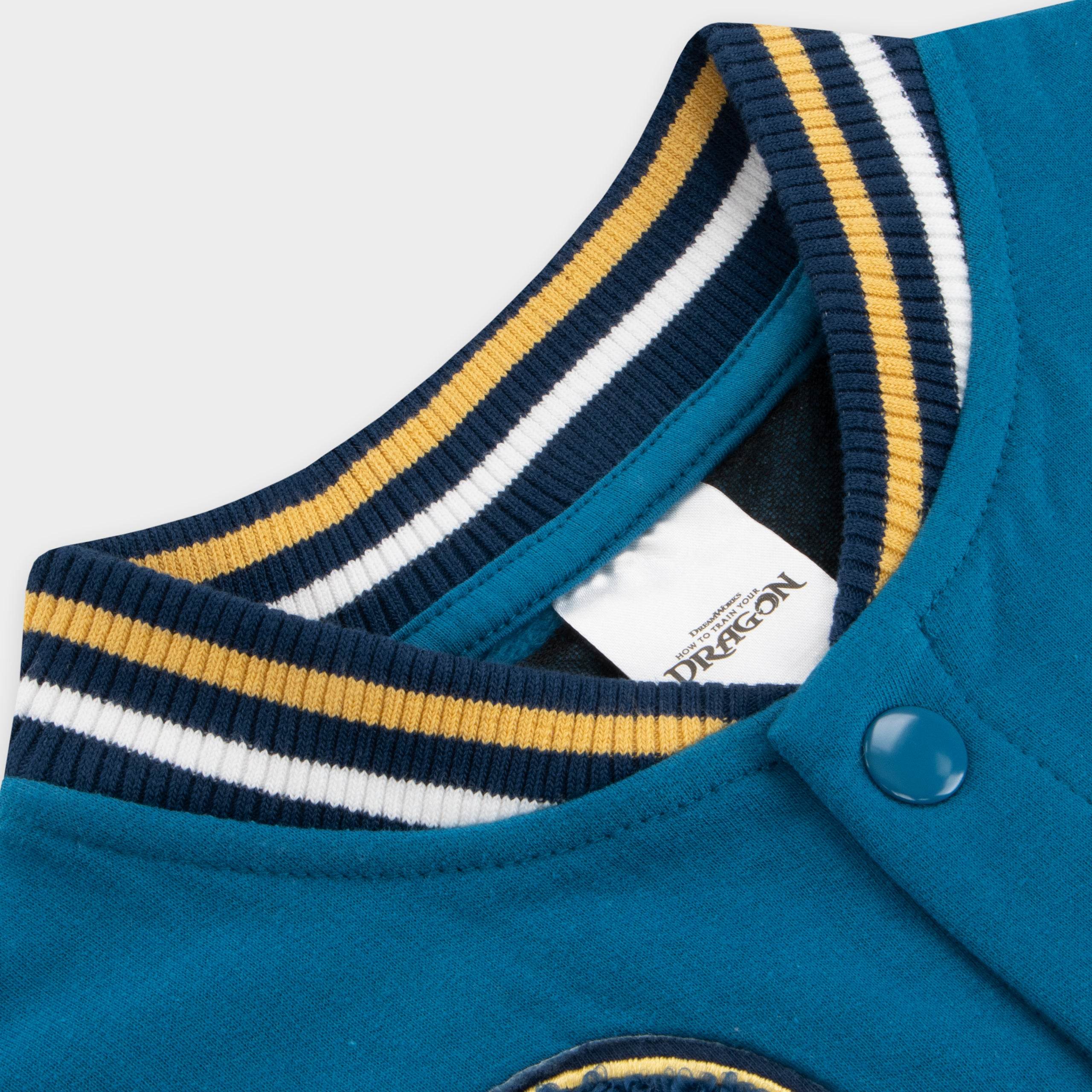 How To Train Your Dragon Boys Bomber Jacket - Character.com