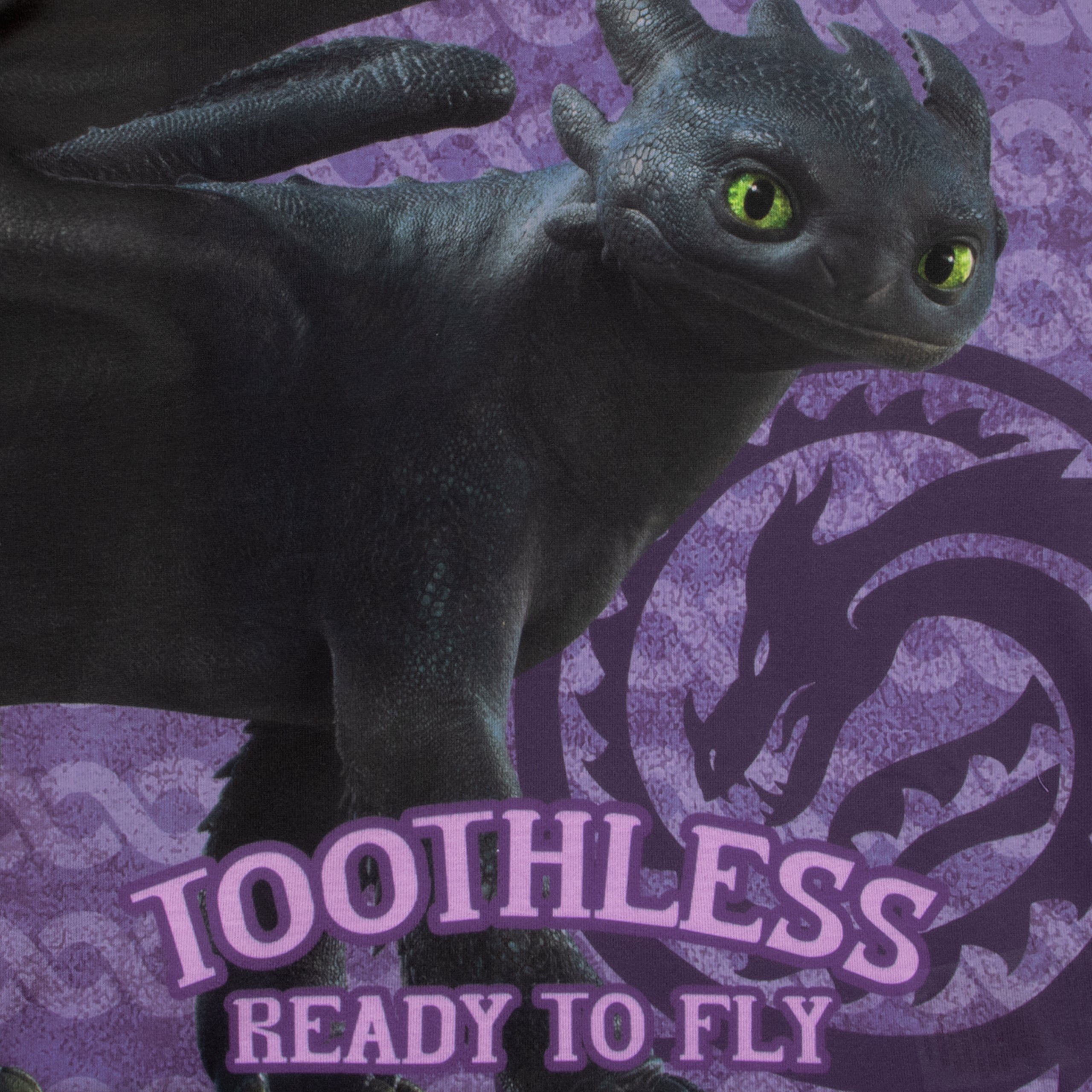 How To Train Your Dragon 'Ready To Fly' Pyjamas