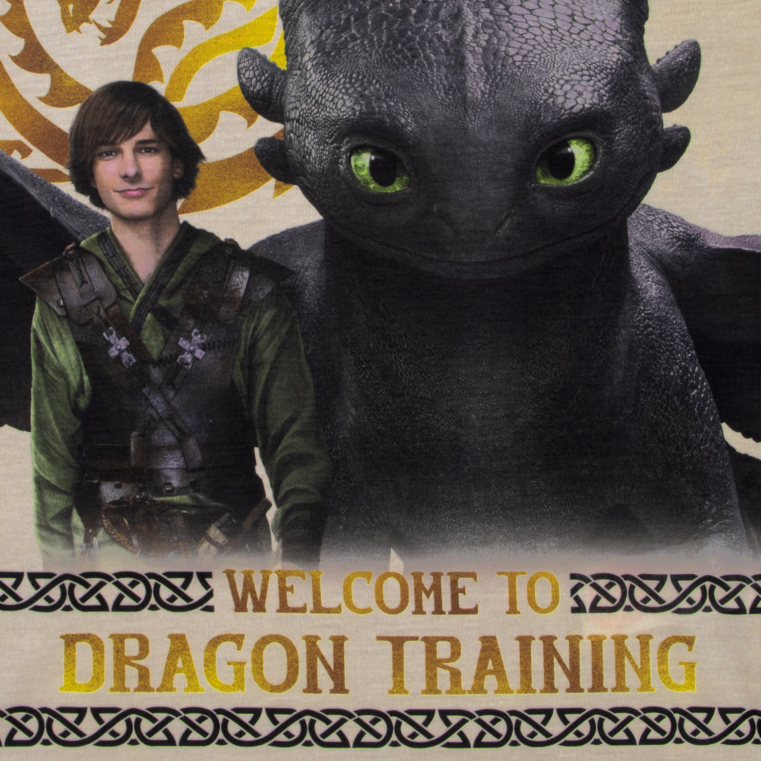 How To Train Your Dragon Pyjamas - Dragon Training