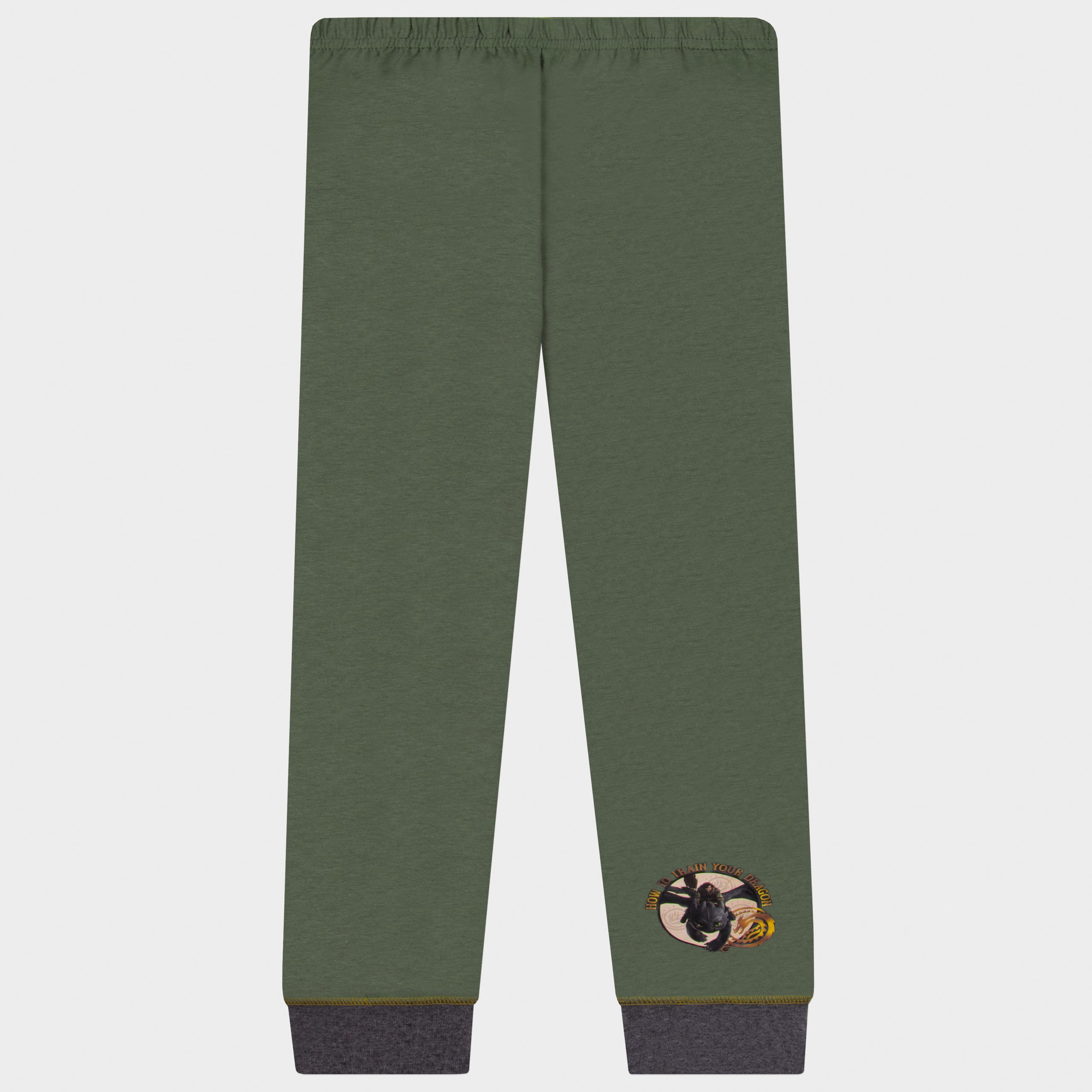 How To Train Your Dragon Pyjamas - Dragon Training