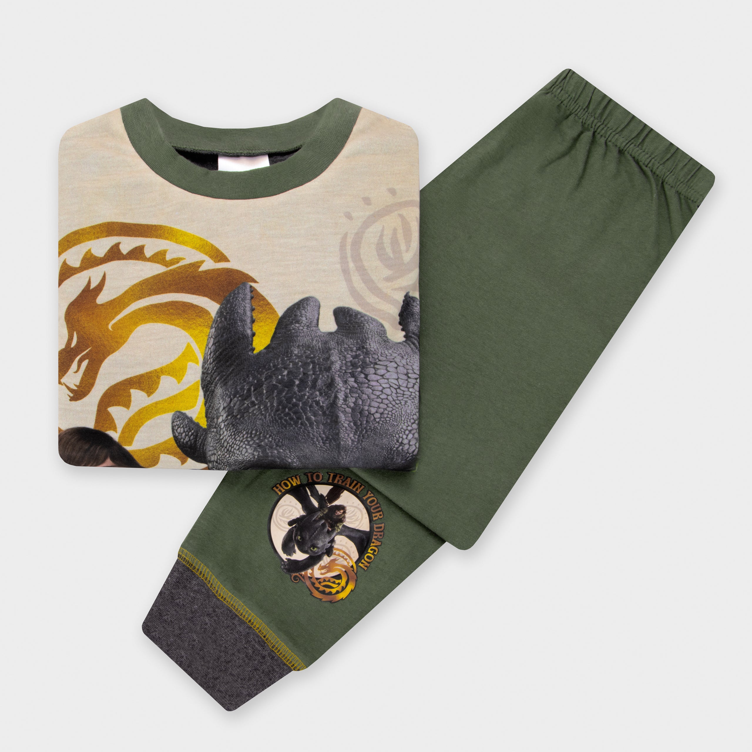 How To Train Your Dragon Pyjamas - Dragon Training