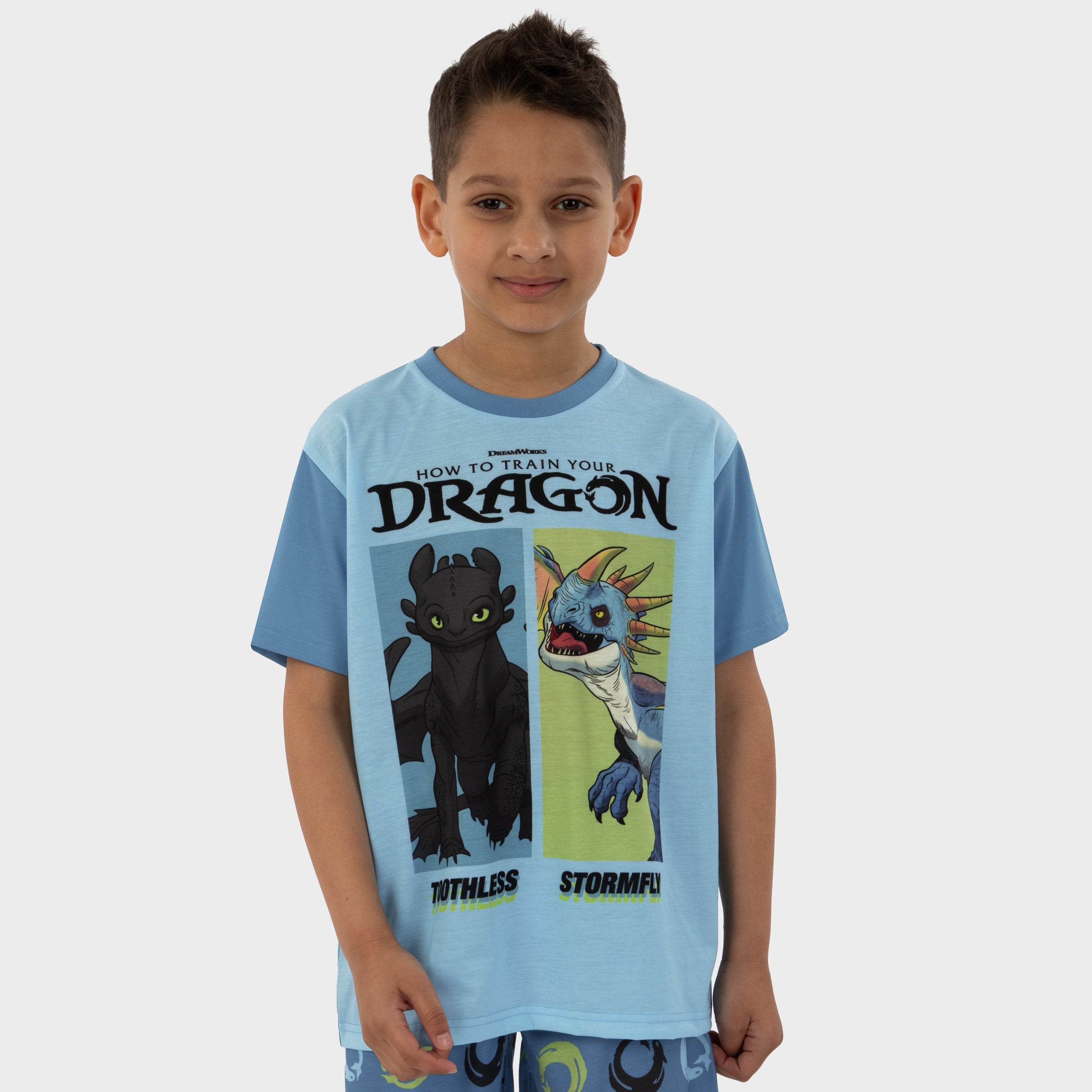 How To Train Your Dragon Short Boys Pyjamas - Character.com