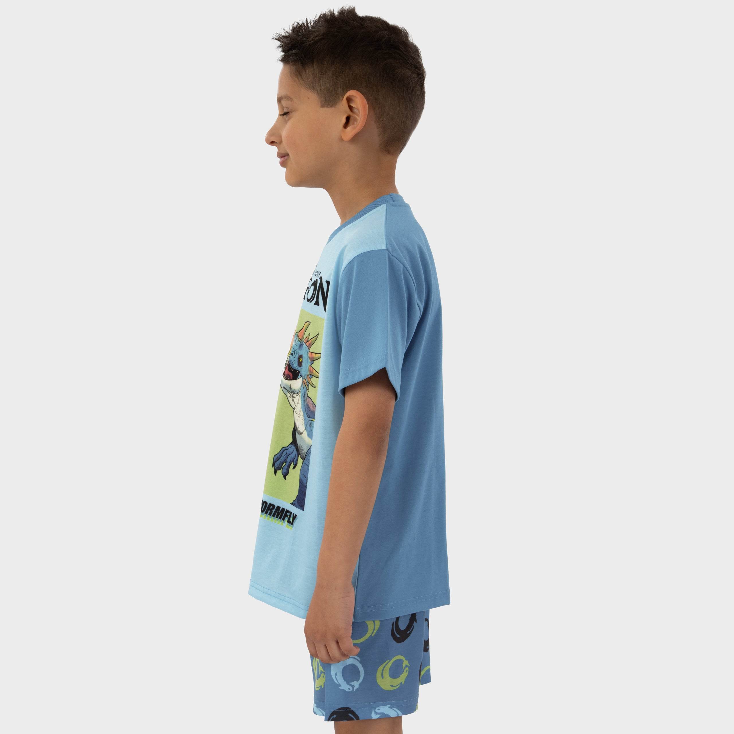 How To Train Your Dragon Short Boys Pyjamas - Character.com